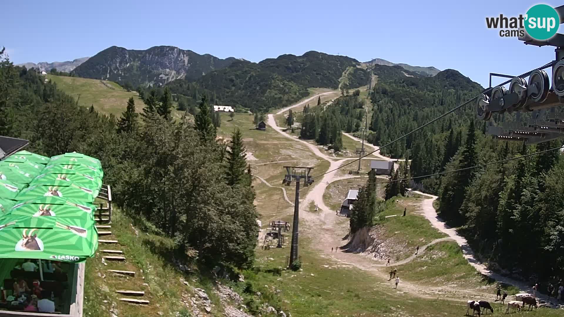 Vogel spletna kamera – Brunarica – Bohinj