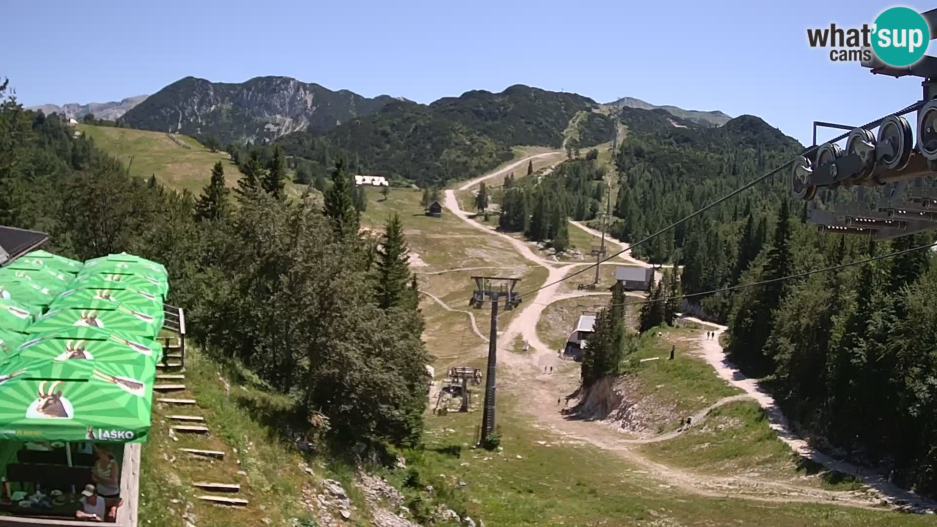 Vogel web kamera – Brunarica – Slovenija