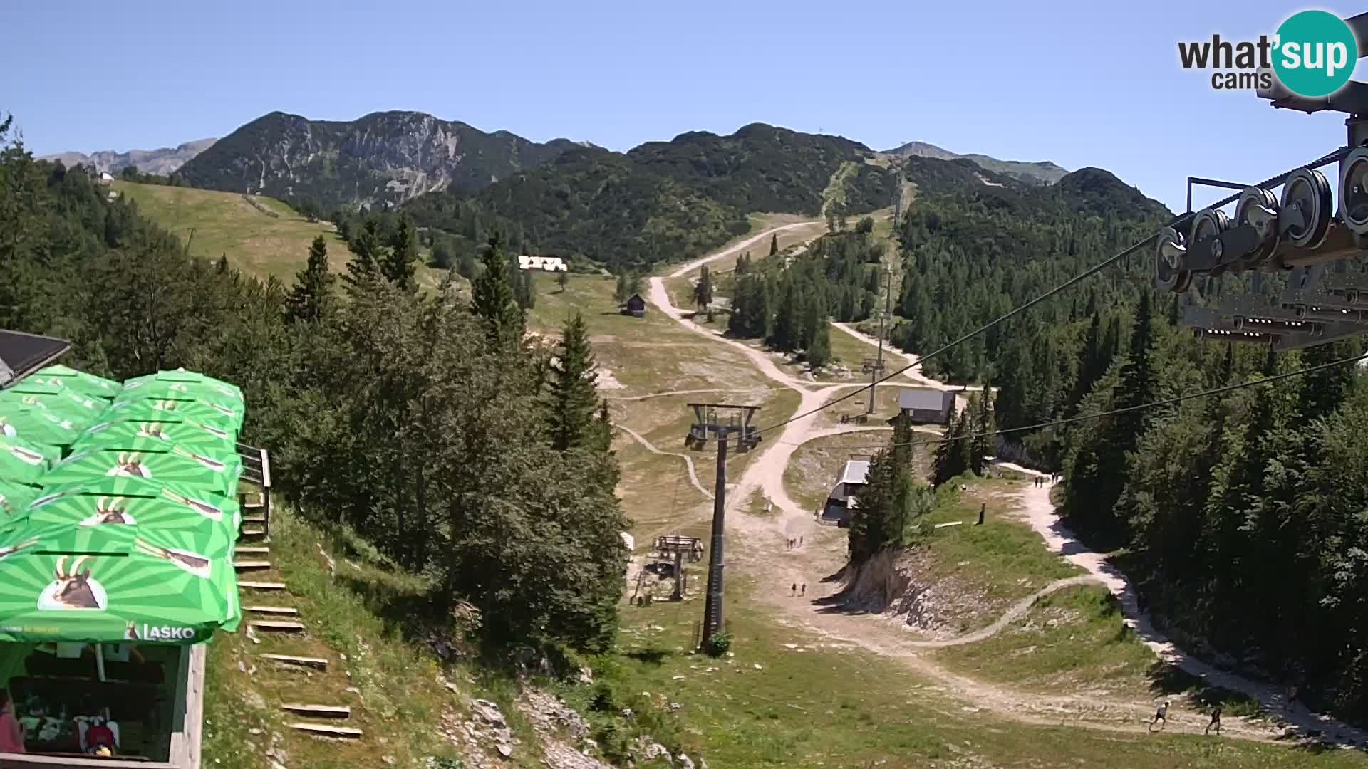 Vogel webcam kamera – Brunarica – Slowenien