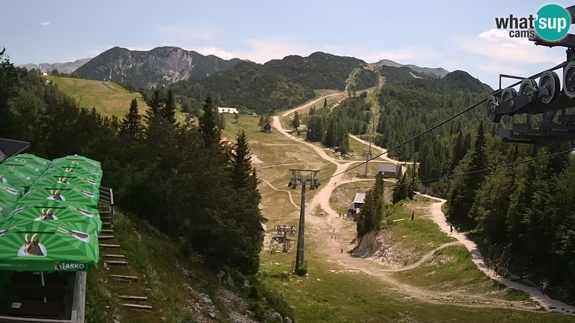 Vogel web kamera – Brunarica – Slovenija