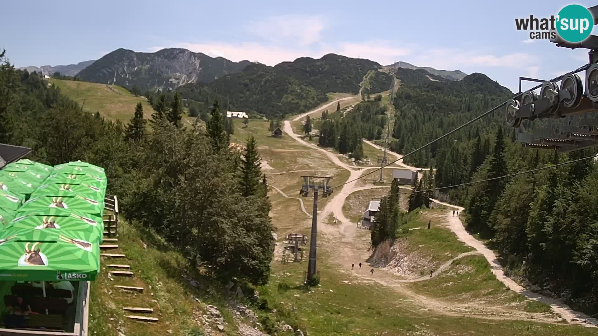 Vogel webcam kamera – Brunarica – Slowenien