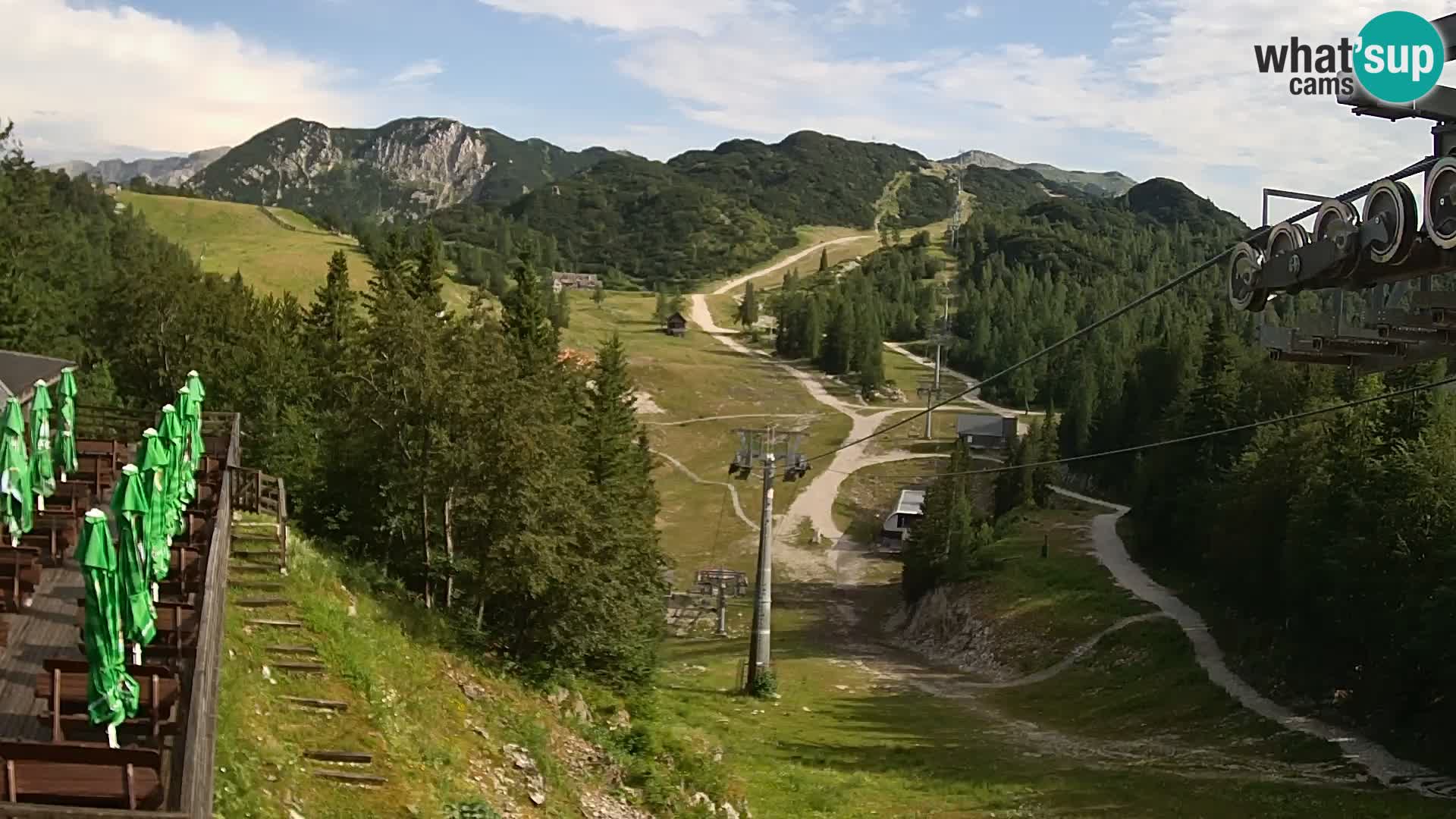 Vogel web kamera – Brunarica – Slovenija