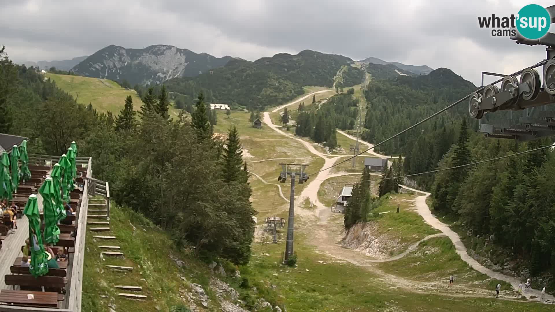 Vogel Live webcam – Brunarica – Slovénie