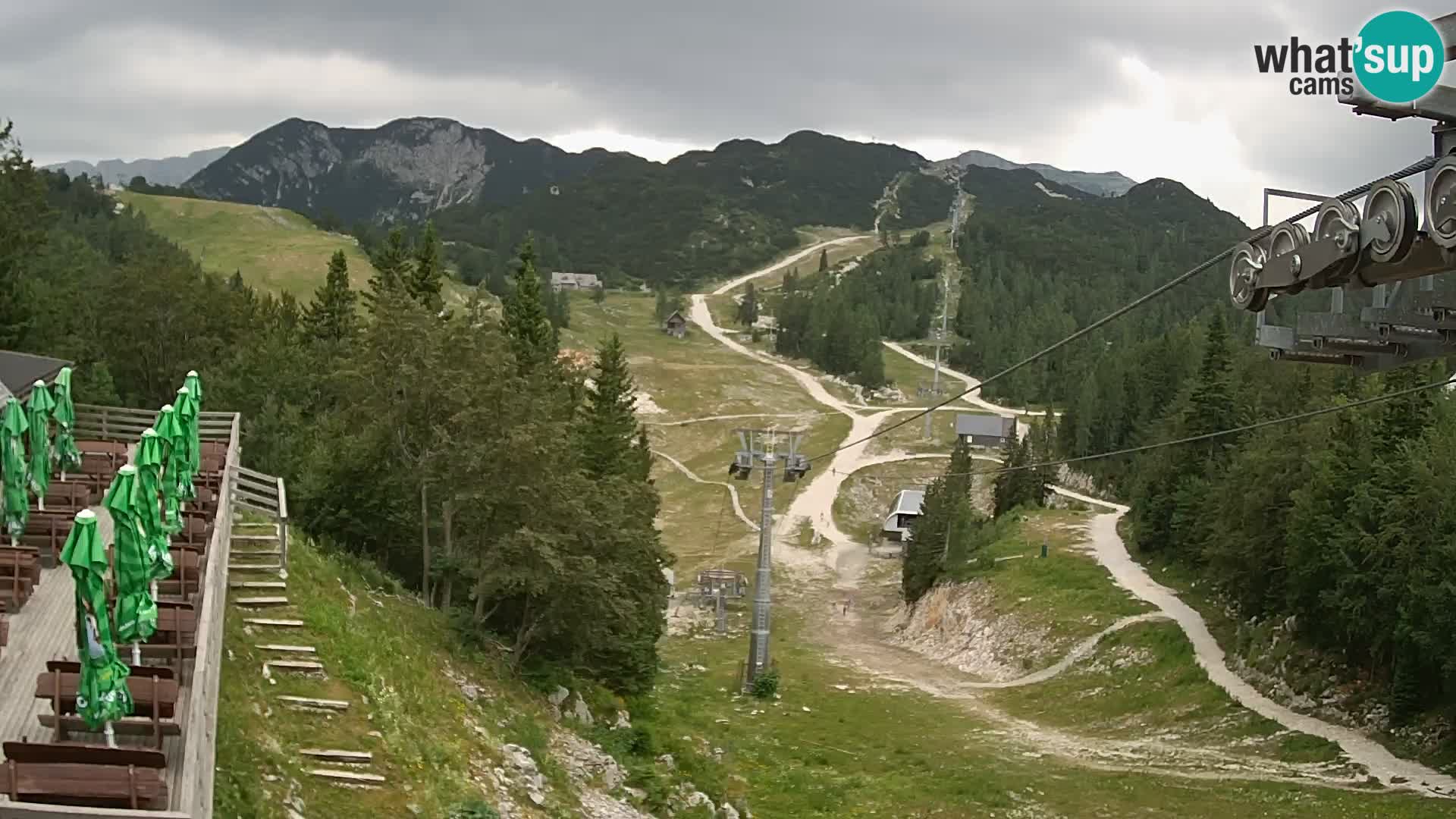 Vogel webcam en vivo – Brunarica – Eslovenia