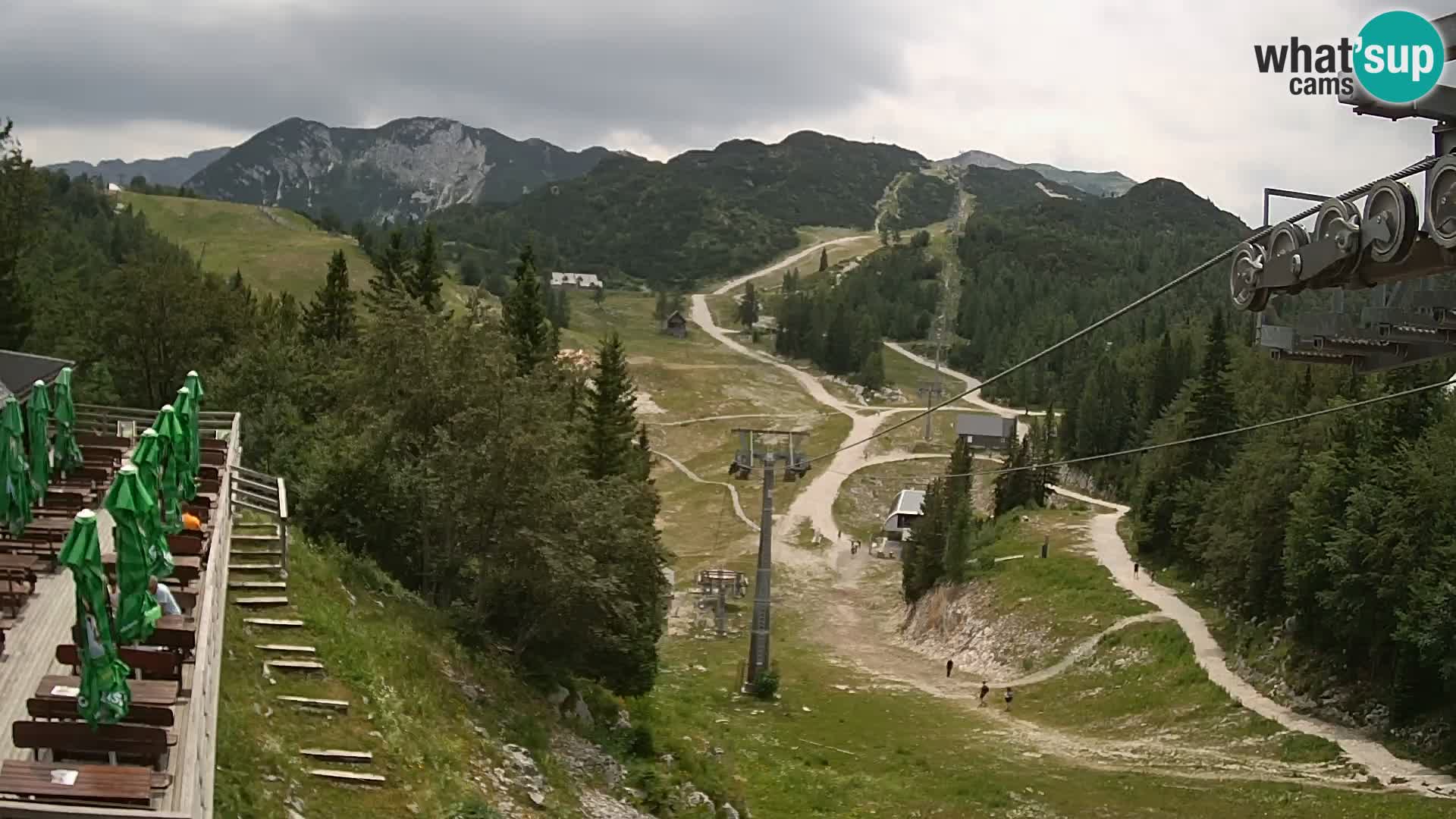 Vogel webcam kamera – Brunarica – Slowenien