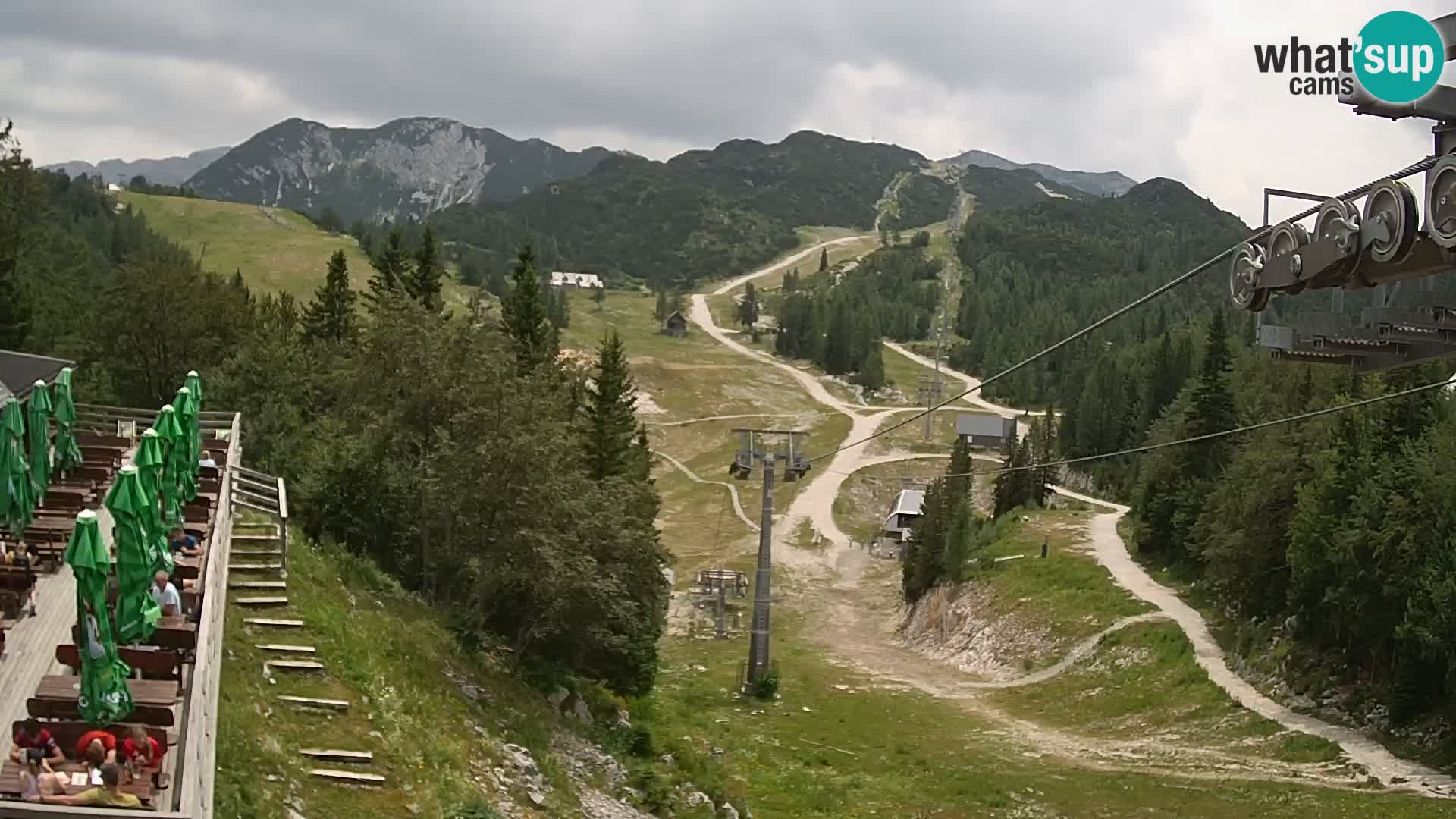Vogel web kamera – Brunarica – Slovenija
