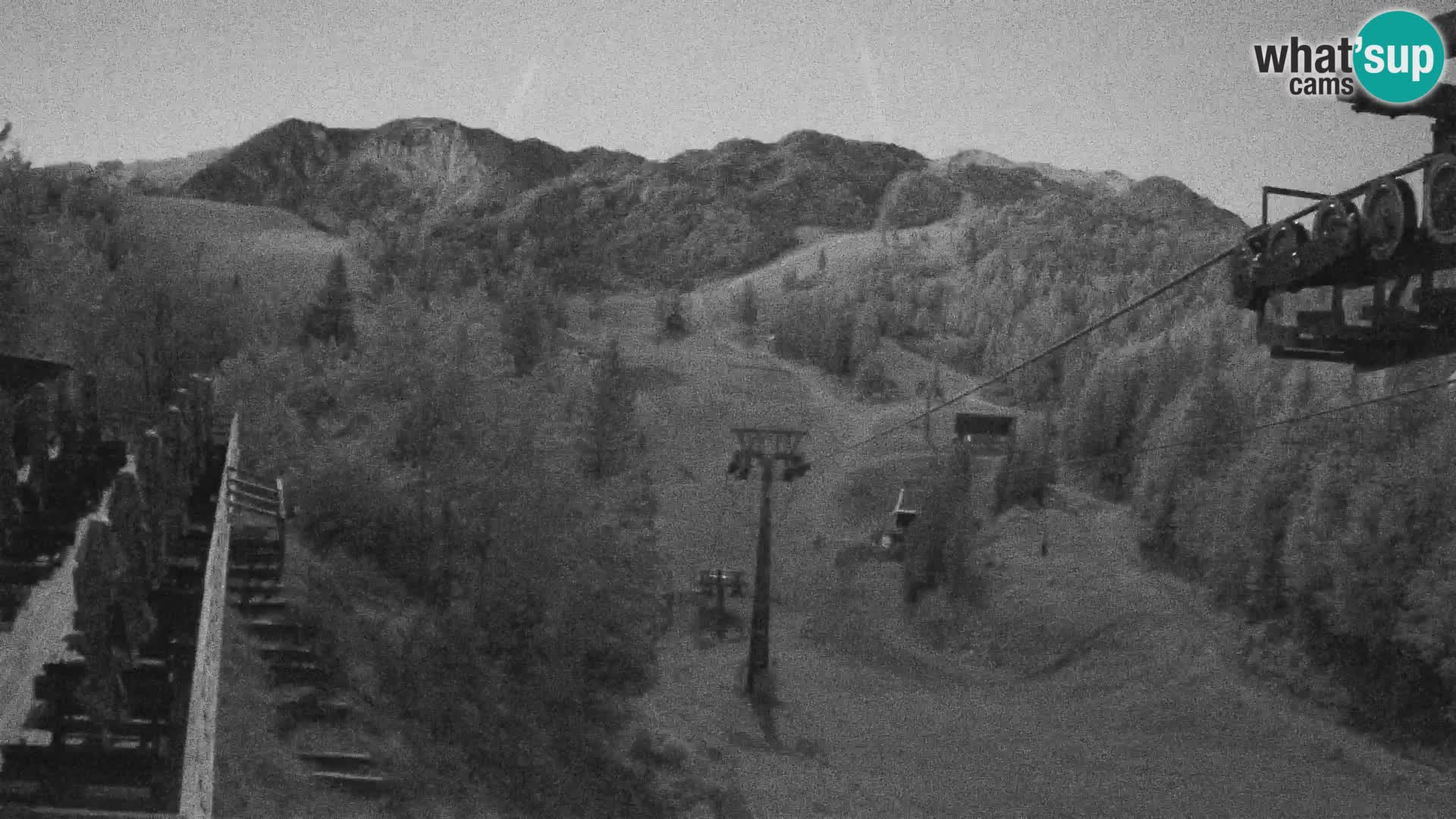 Vogel webcam kamera – Brunarica – Slowenien
