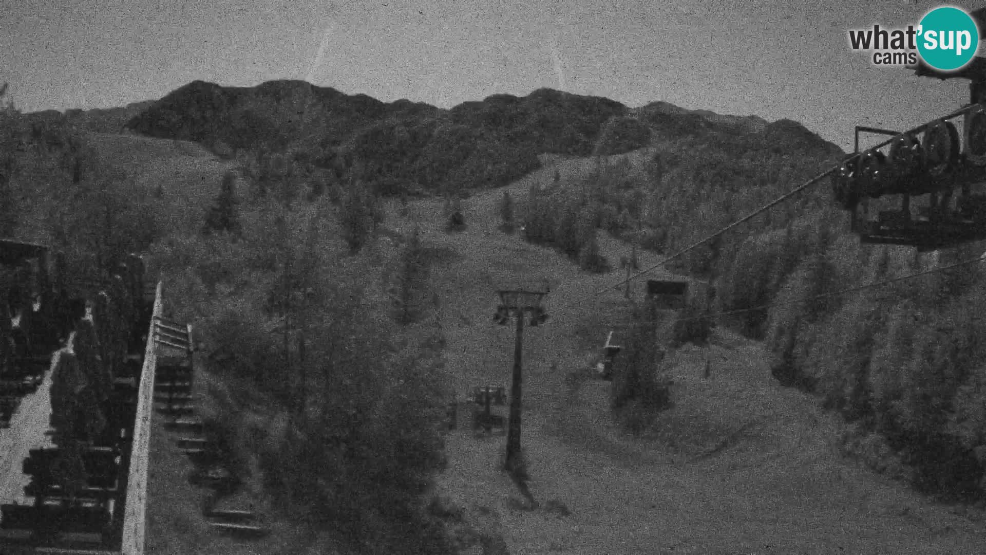 Vogel webcam kamera – Brunarica – Slowenien