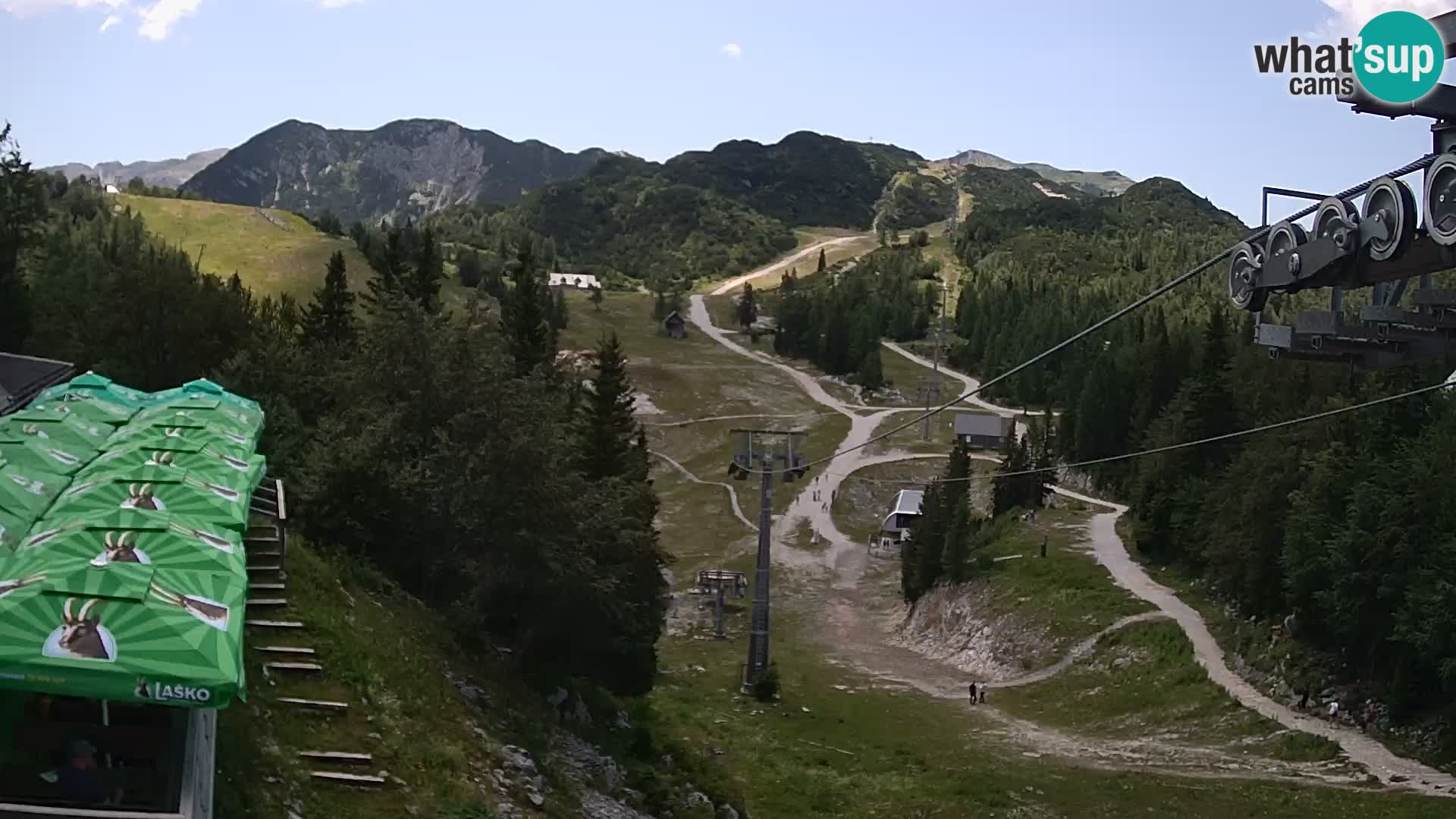 Vogel web kamera – Brunarica – Slovenija