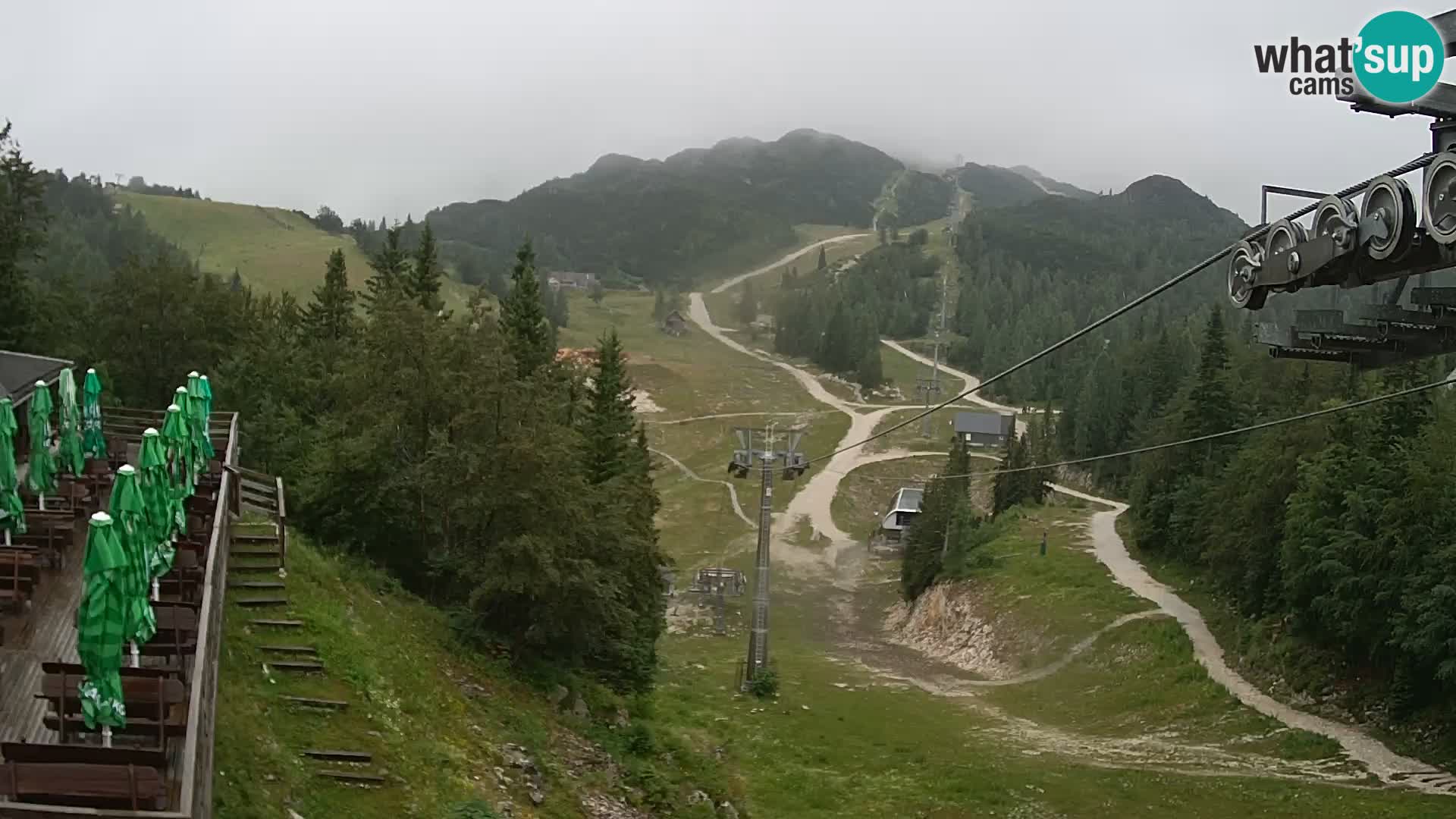Vogel web kamera – Brunarica – Slovenija