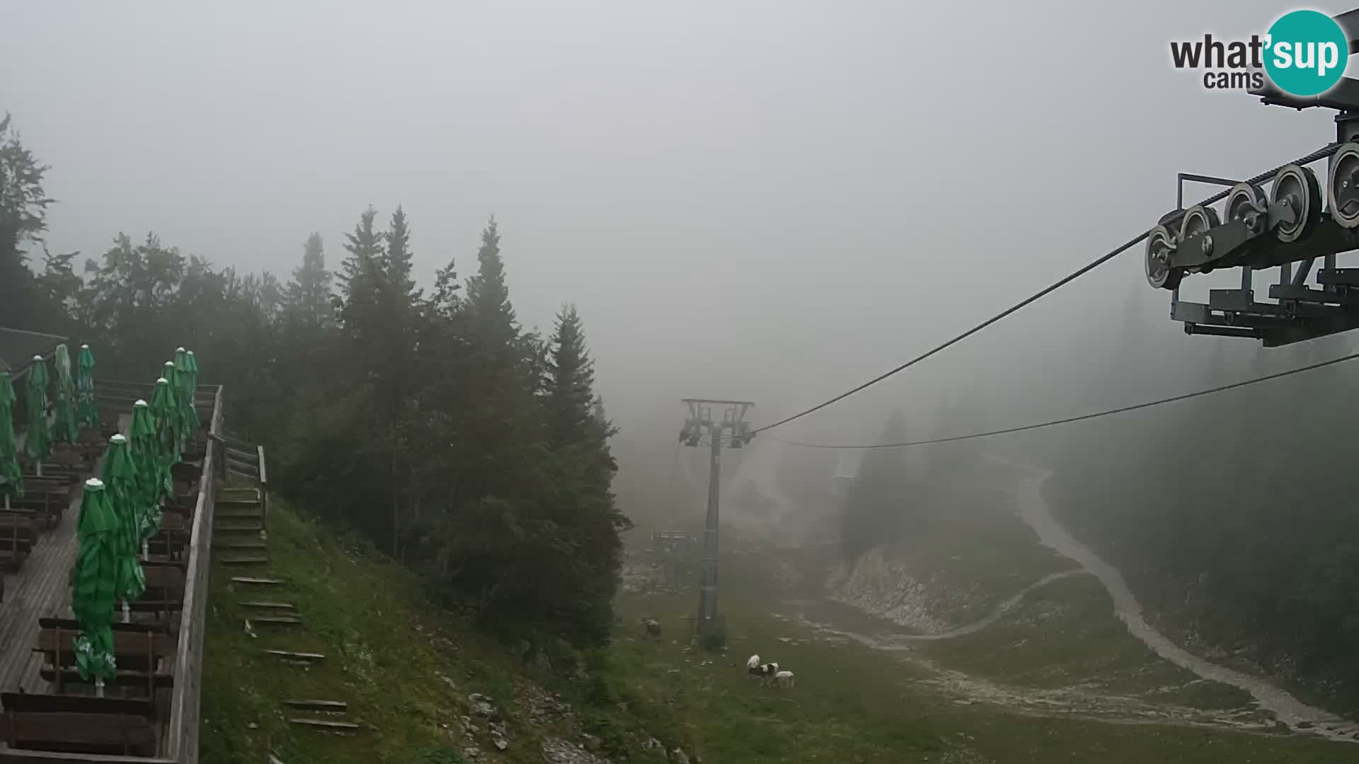 Vogel webcam livecam – Brunarica – Slovenia