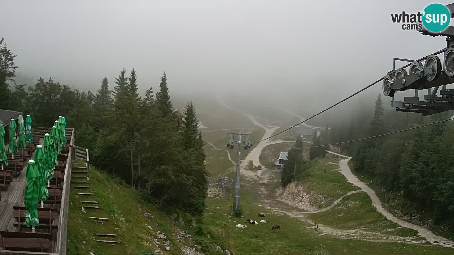 Vogel Live webcam – Brunarica – Slovénie