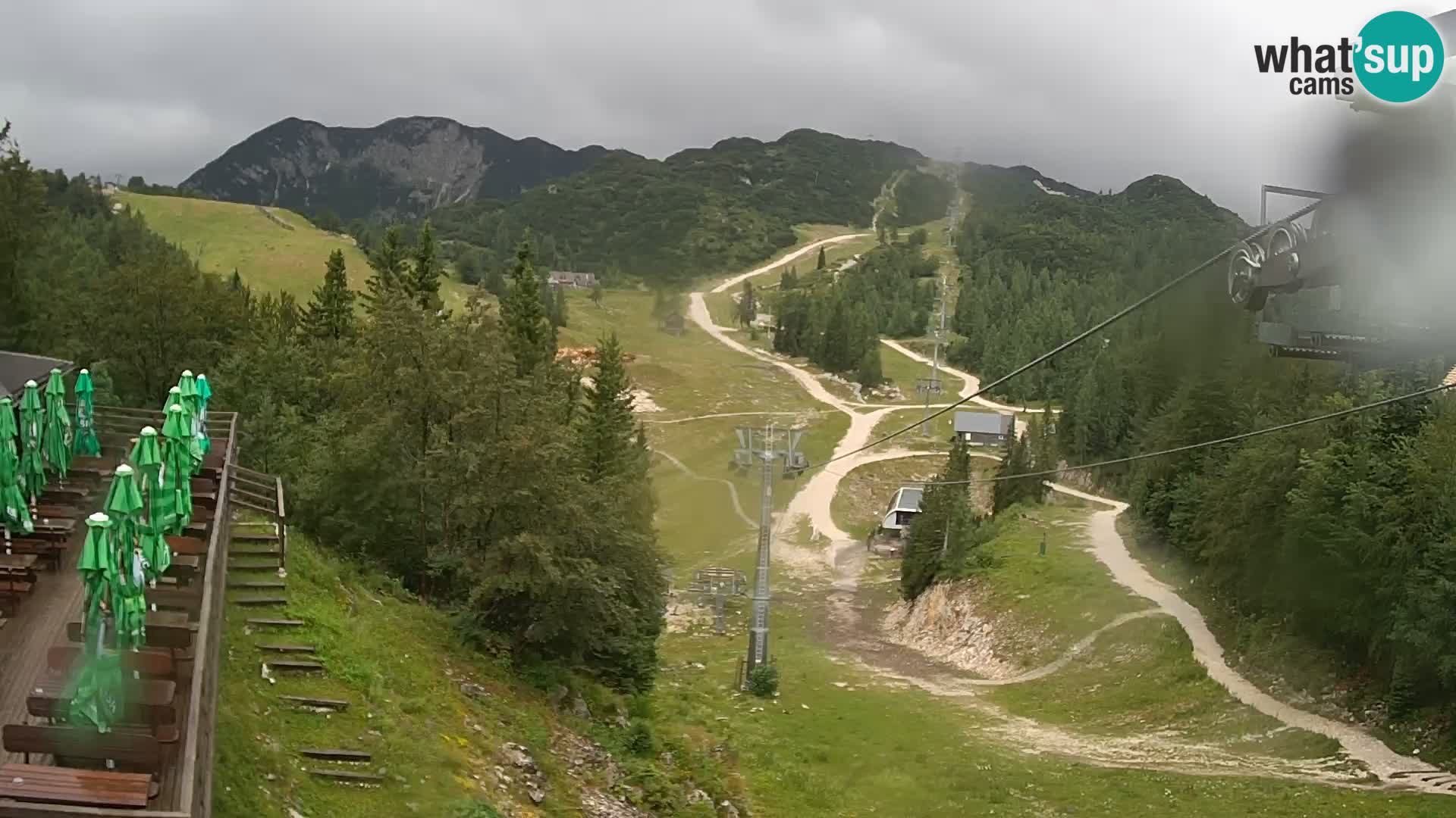Vogel web kamera – Brunarica – Slovenija