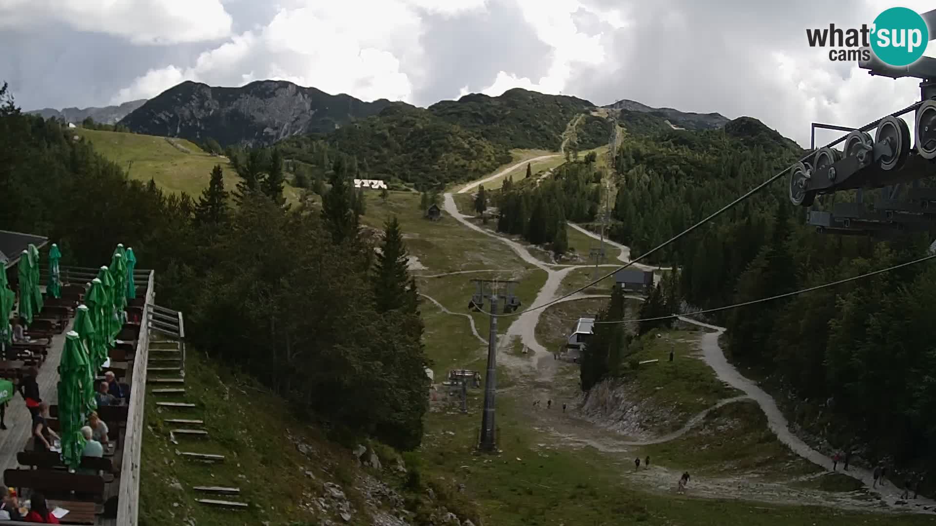 Vogel web kamera – Brunarica – Slovenija