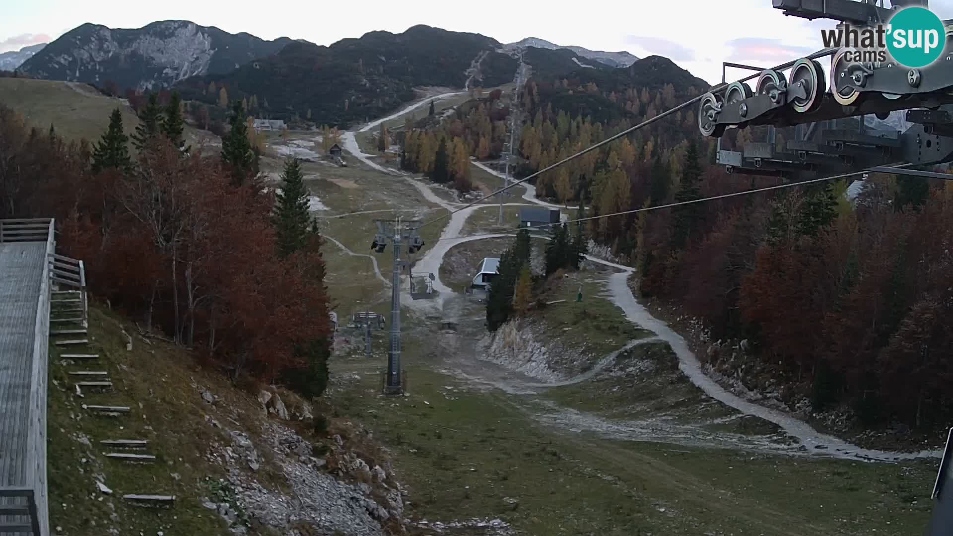 Vogel webcam kamera – Brunarica – Slowenien
