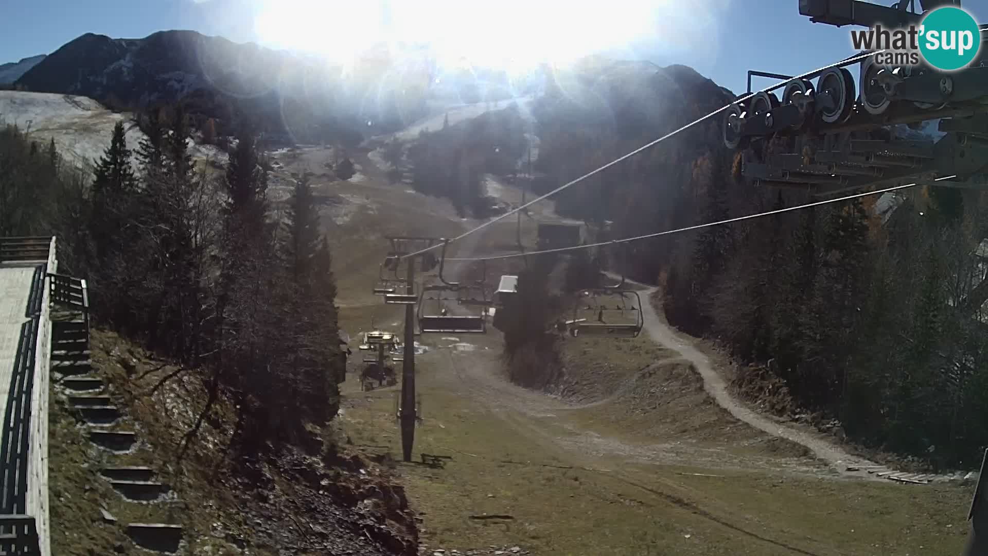 Vogel web kamera – Brunarica – Slovenija