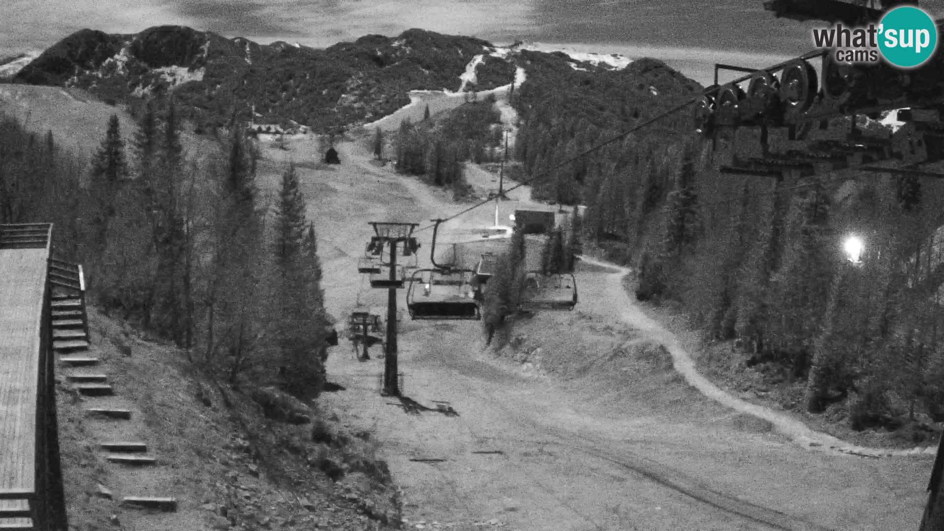 Vogel web kamera – Brunarica – Slovenija