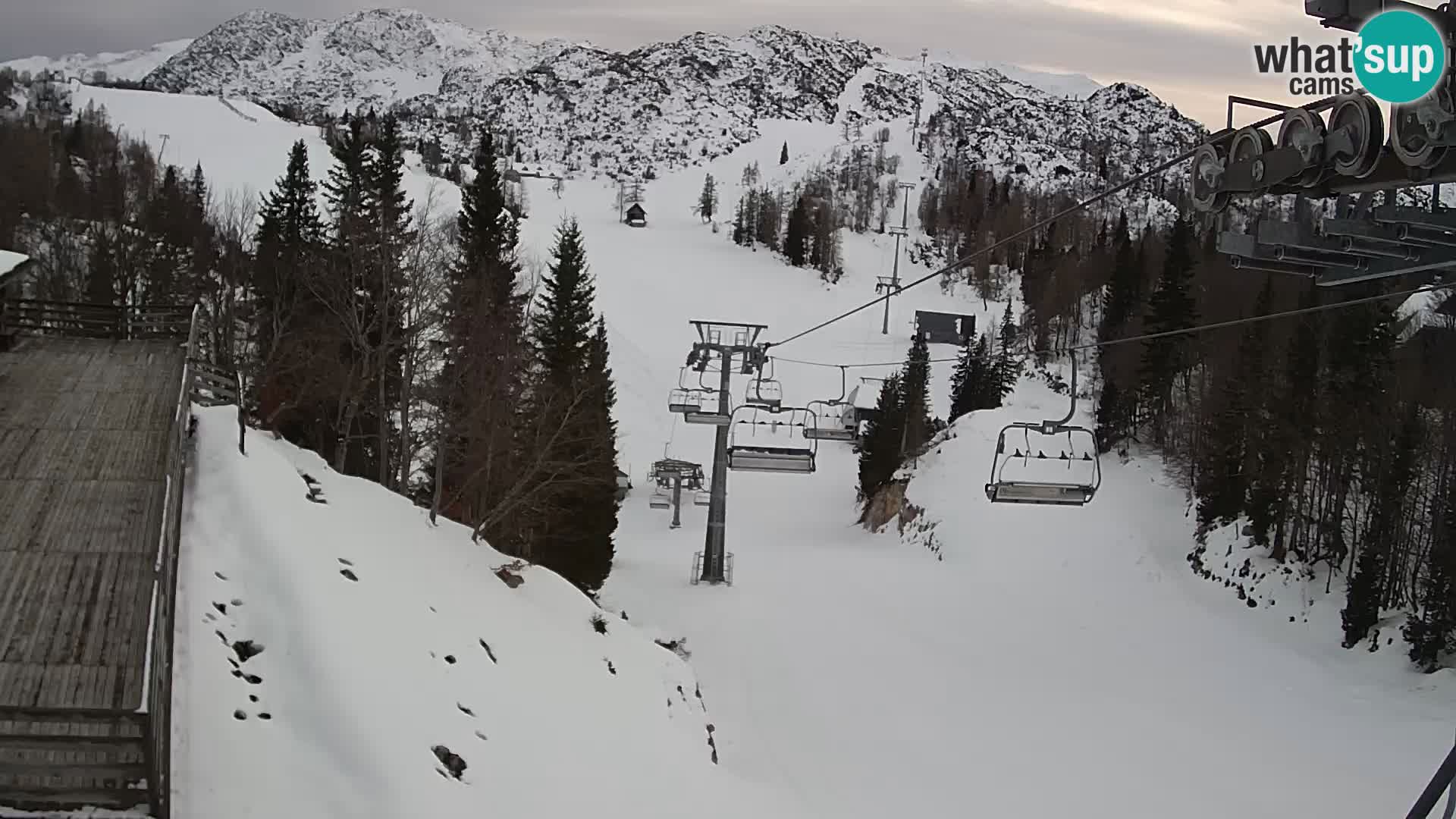 Vogel webcam en vivo – Brunarica – Eslovenia