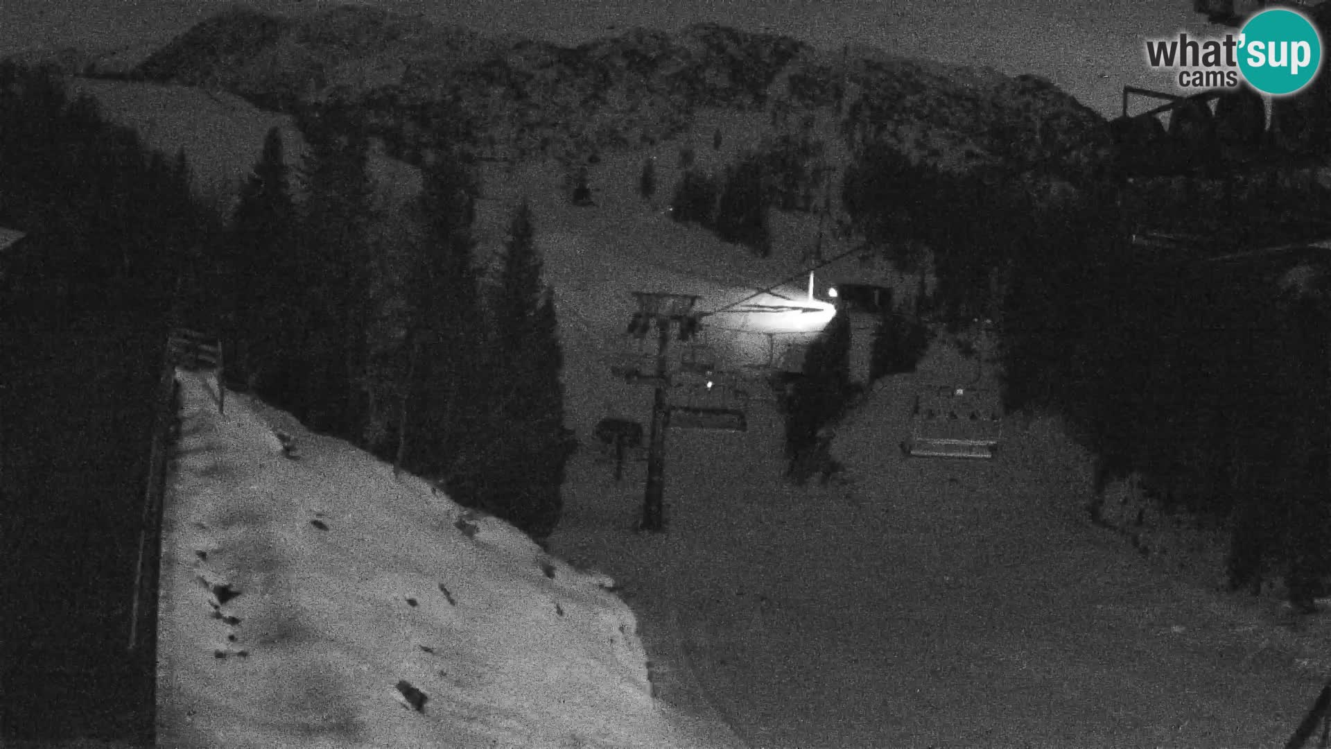 Vogel webcam kamera – Brunarica – Slowenien