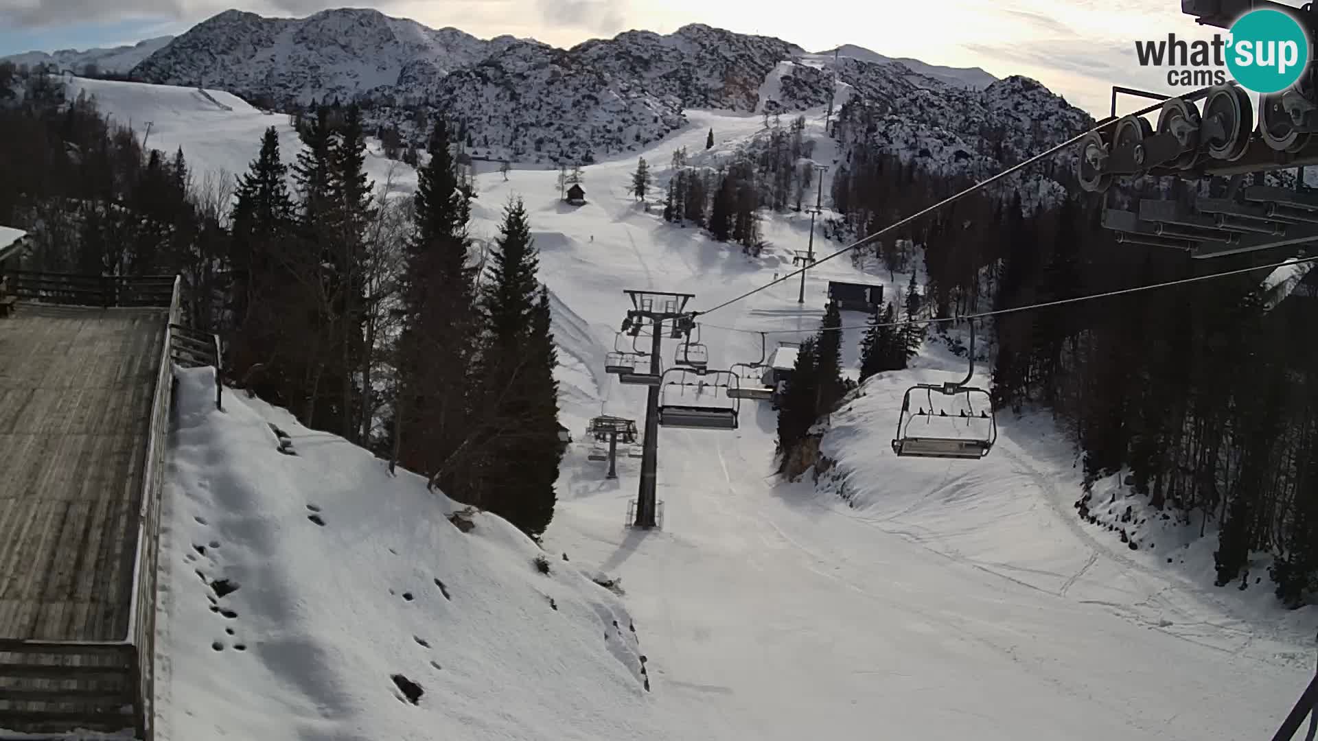 Vogel Live webcam – Brunarica – Slovénie