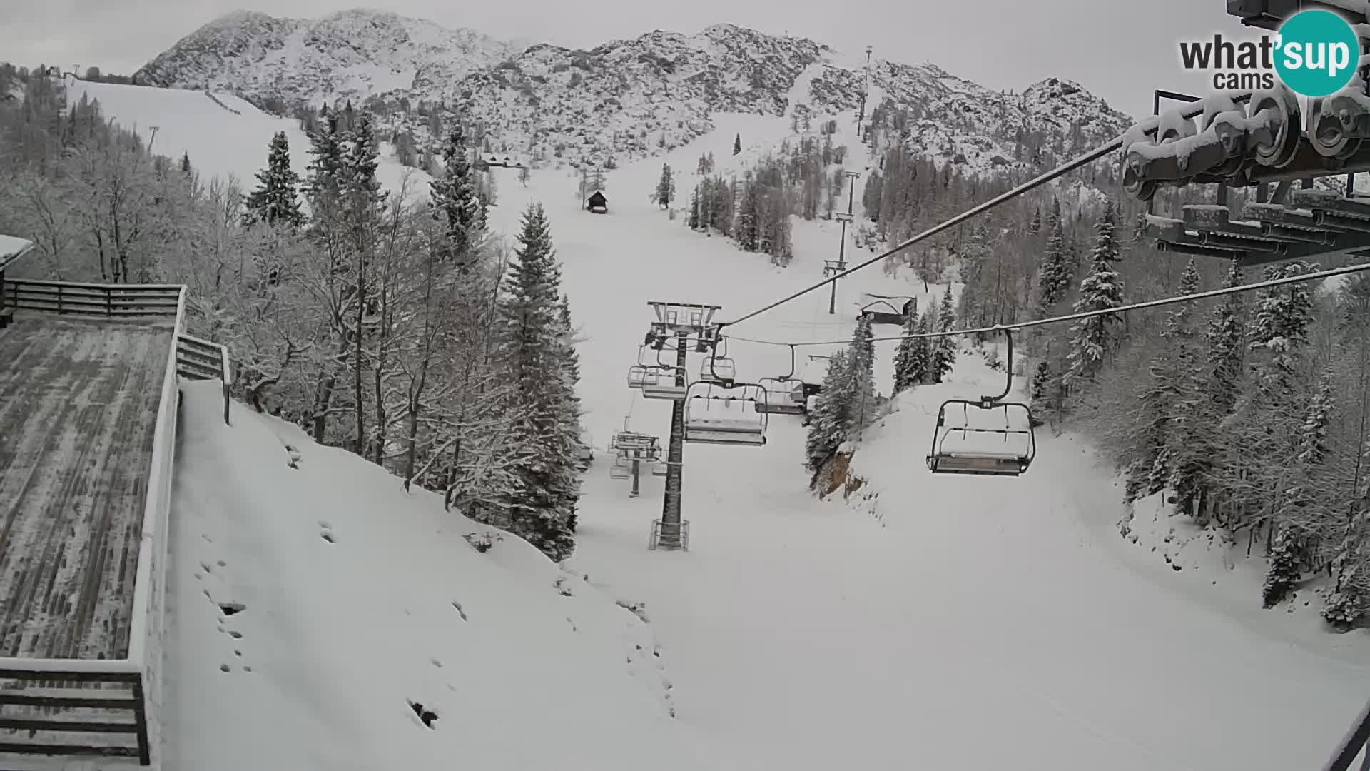 Vogel webcam kamera – Brunarica – Slowenien