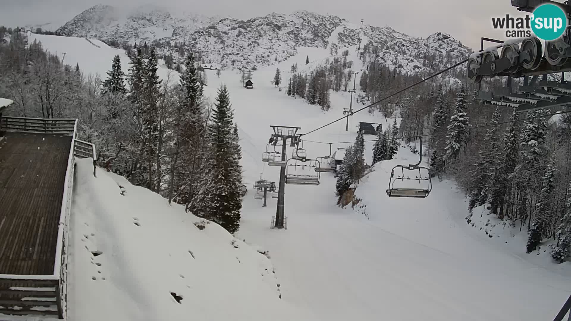 Vogel Live webcam – Brunarica – Slovenia