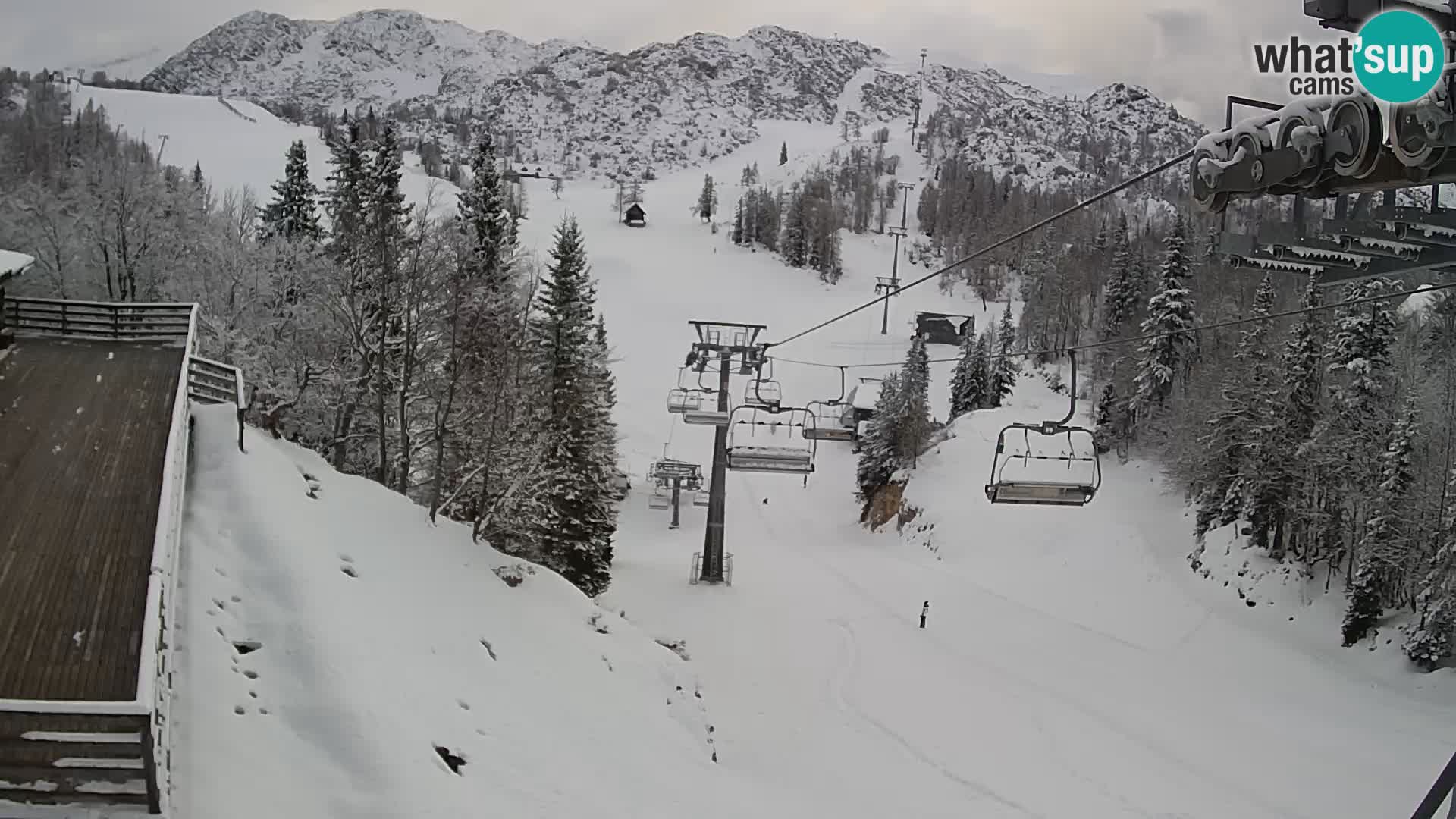 Vogel Live webcam – Brunarica – Slovénie