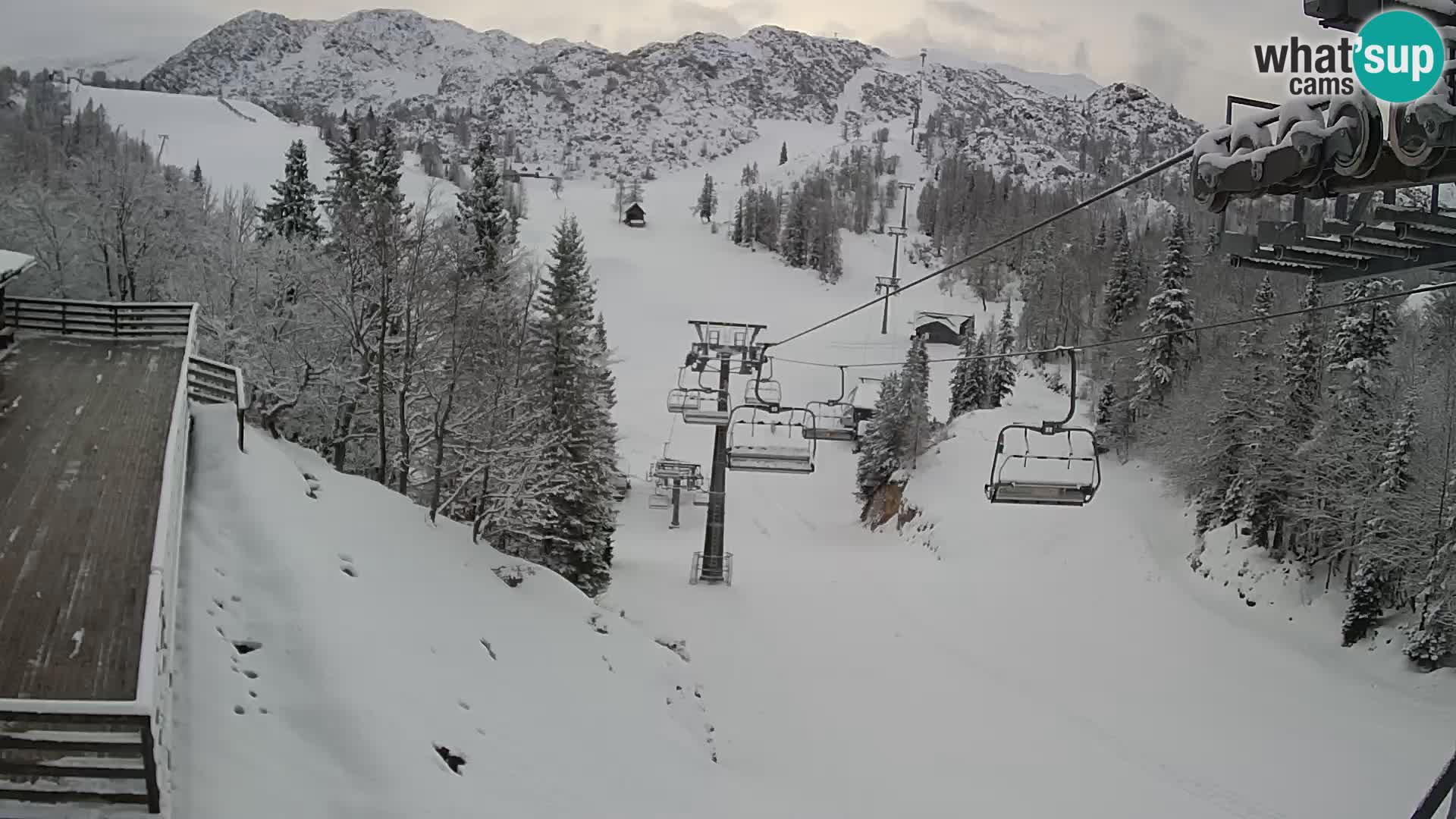 Vogel webcam en vivo – Brunarica – Eslovenia