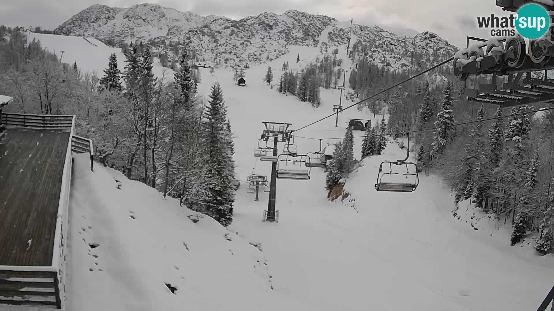 Vogel web kamera – Brunarica – Slovenija