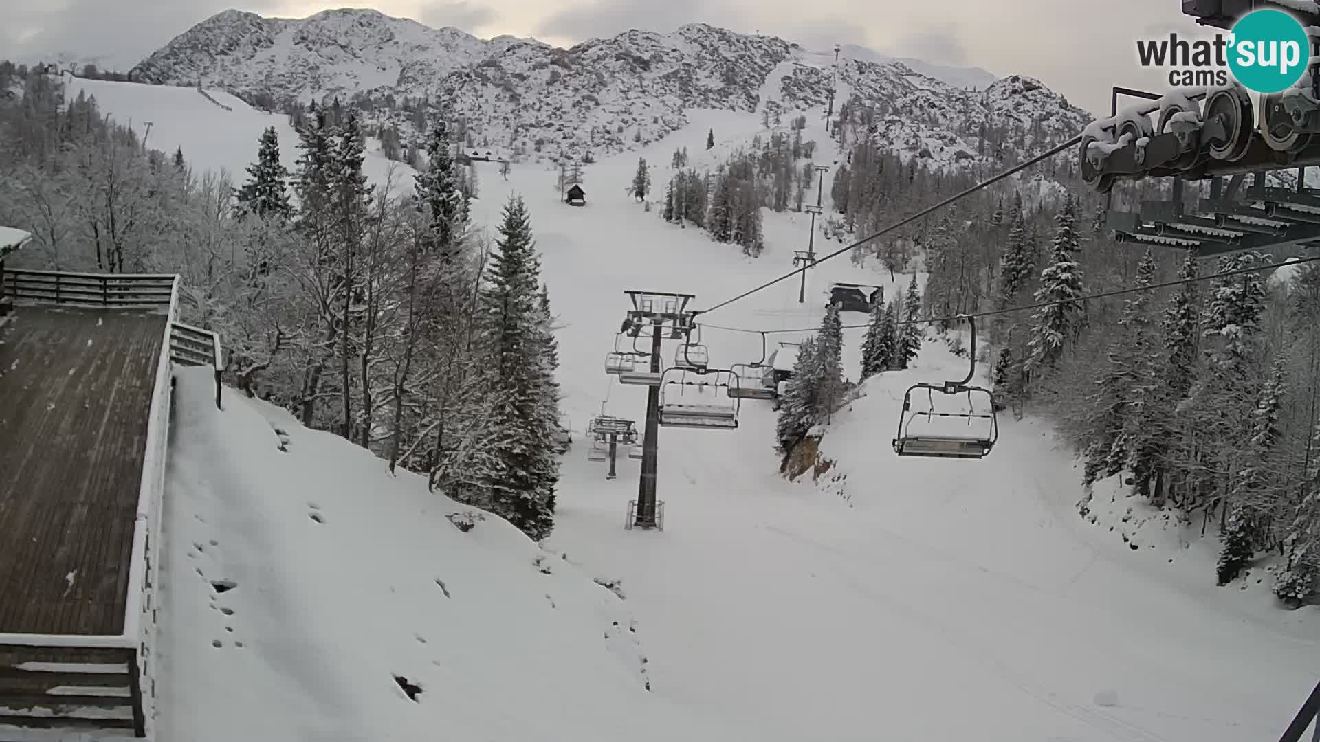 Vogel webcam livecam – Brunarica – Slovenia