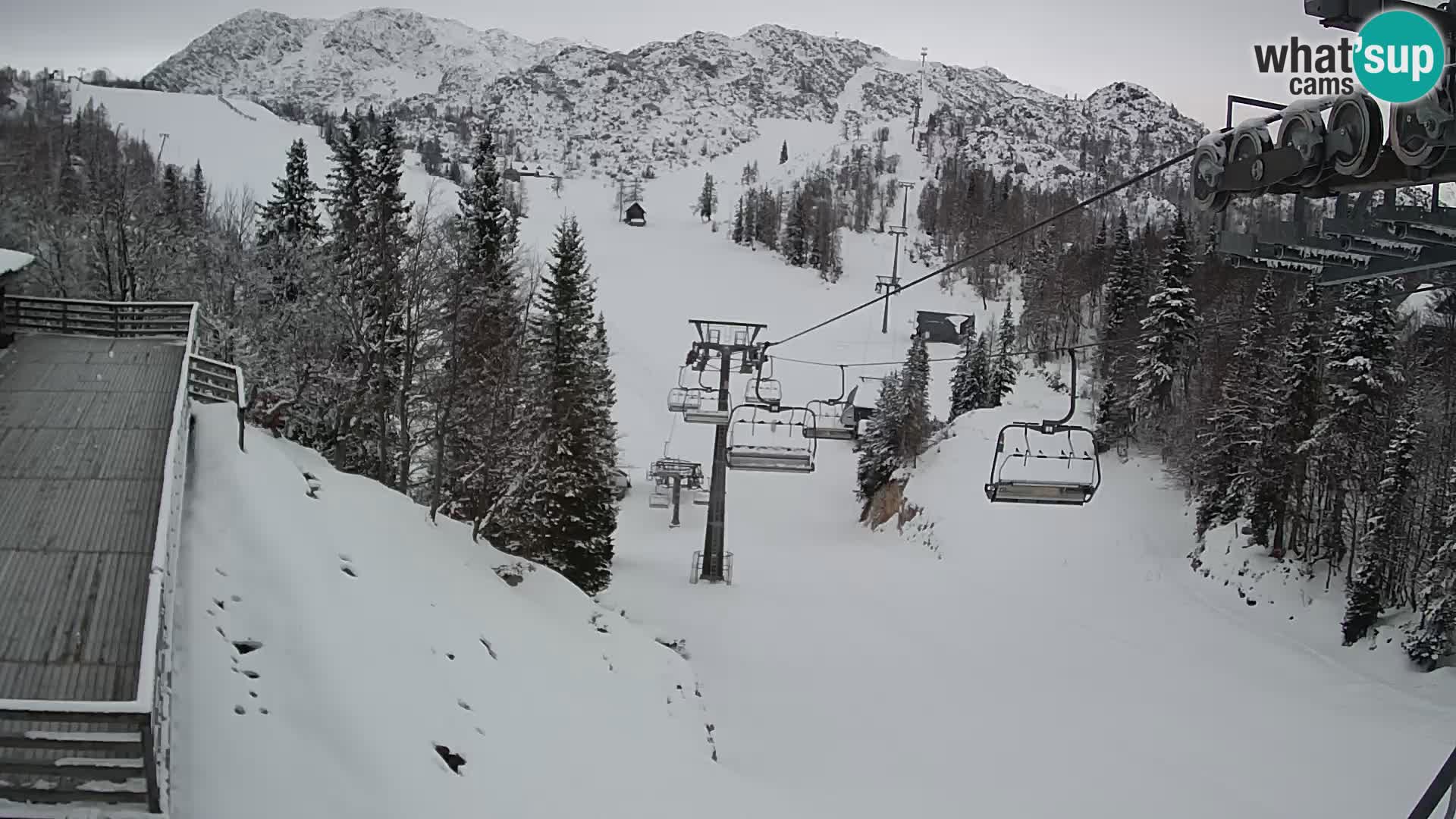 Vogel webcam kamera – Brunarica – Slowenien