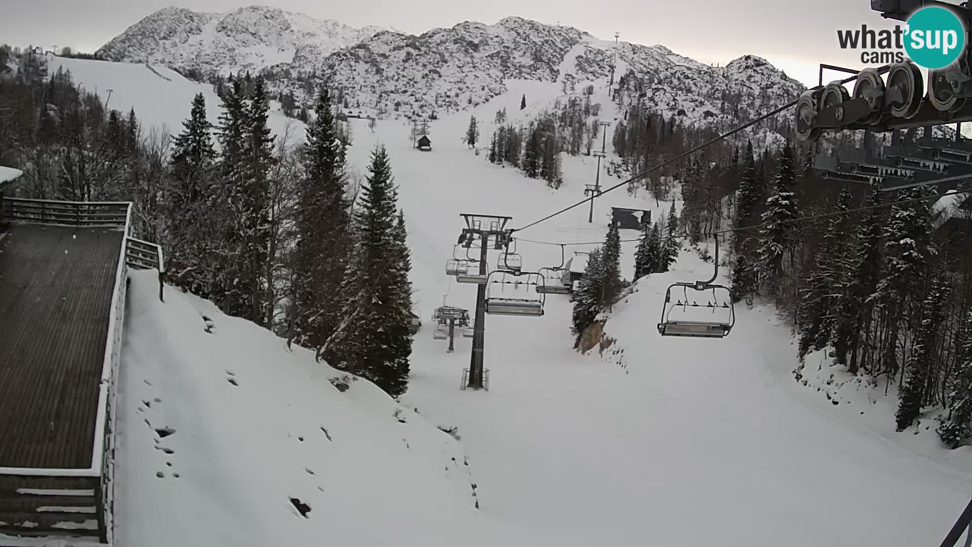 Vogel spletna kamera – Brunarica – Bohinj
