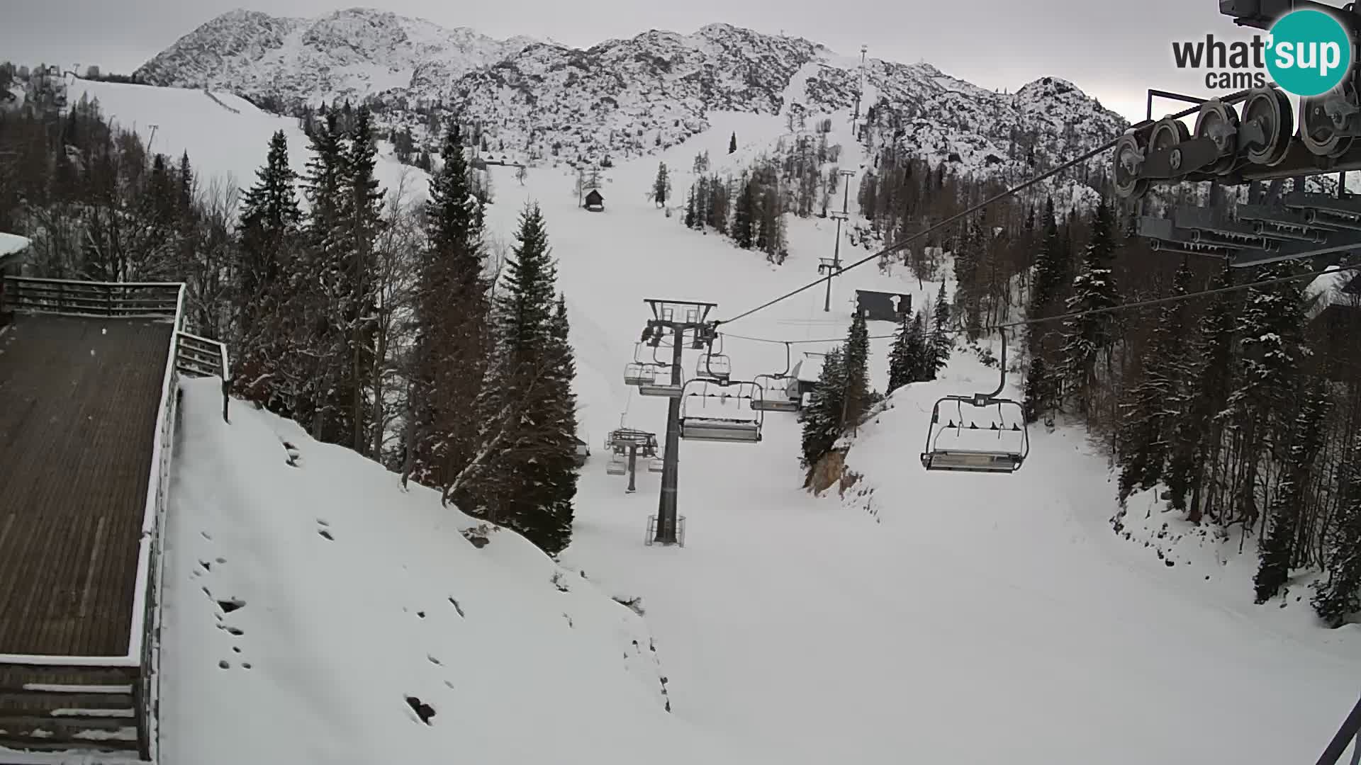 Vogel webcam livecam – Brunarica – Slovenia