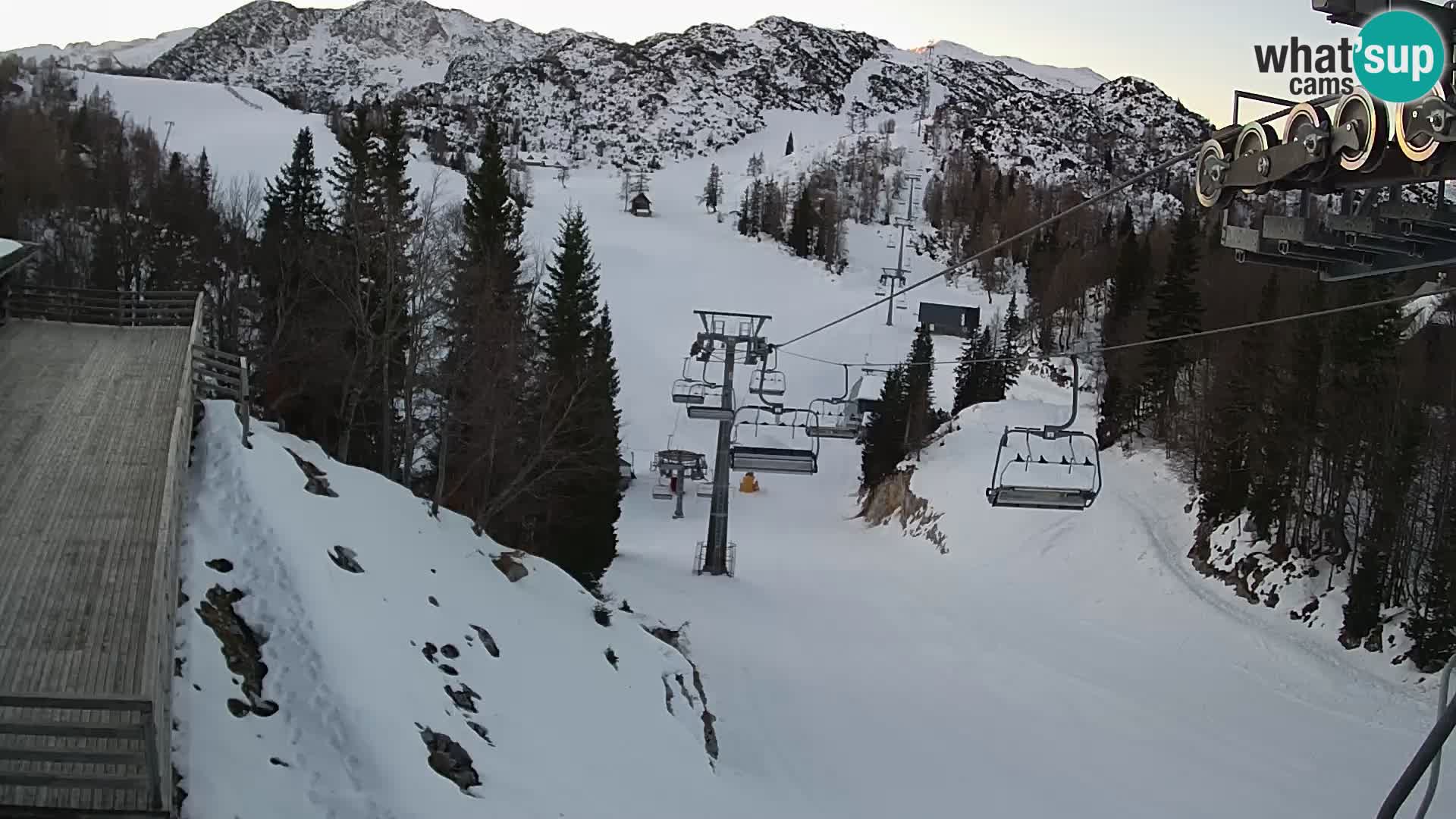 Vogel Live webcam – Brunarica – Slovénie