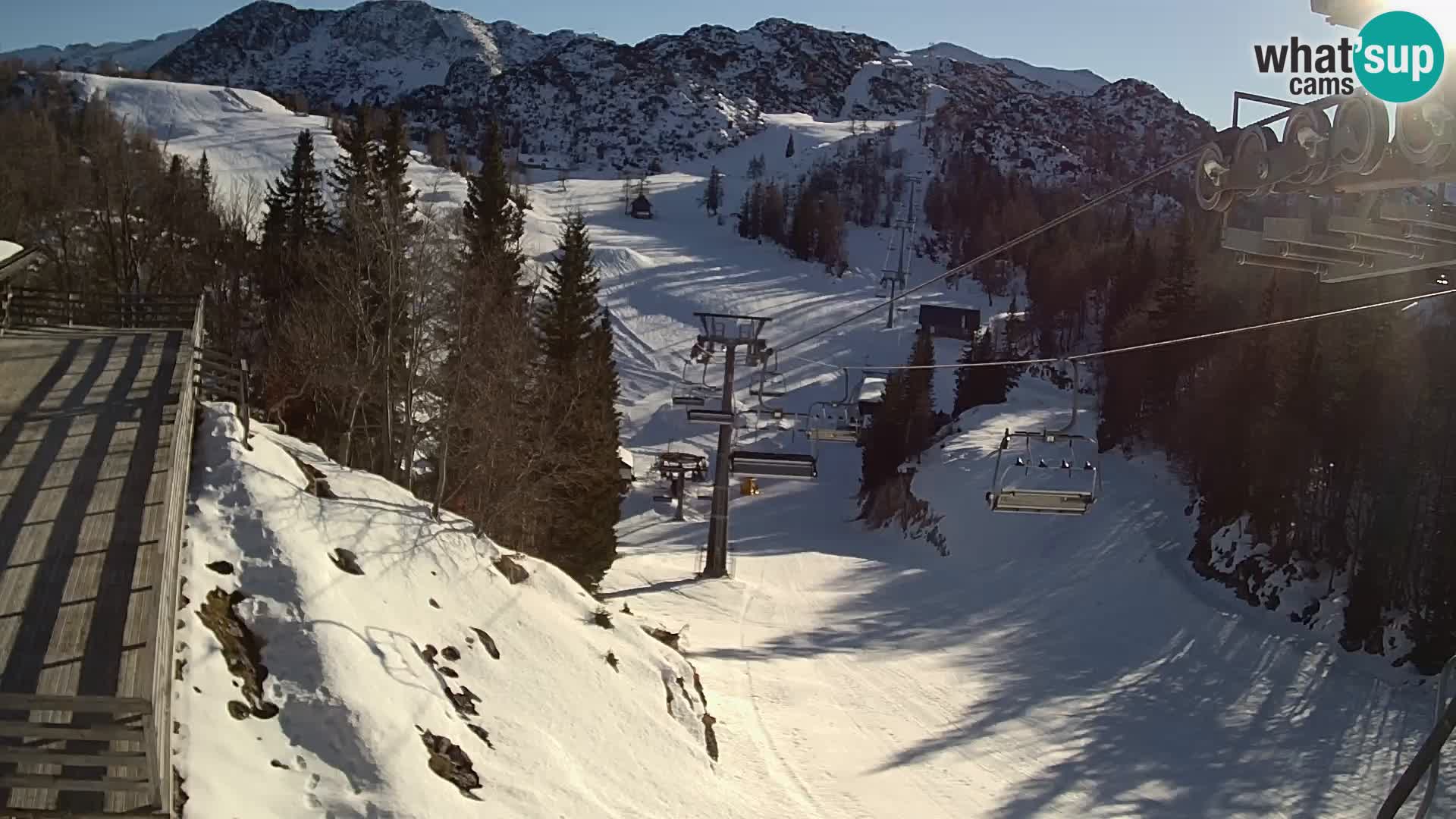 Vogel webcam en vivo – Brunarica – Eslovenia