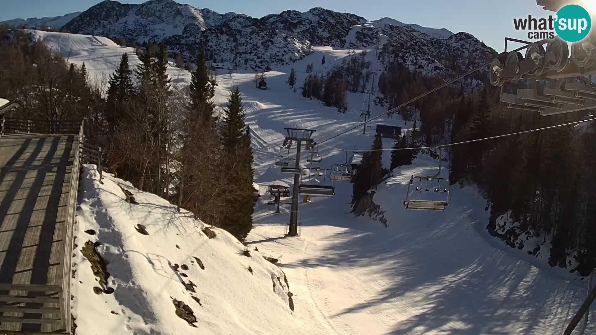 Vogel Live webcam – Brunarica – Slovenia