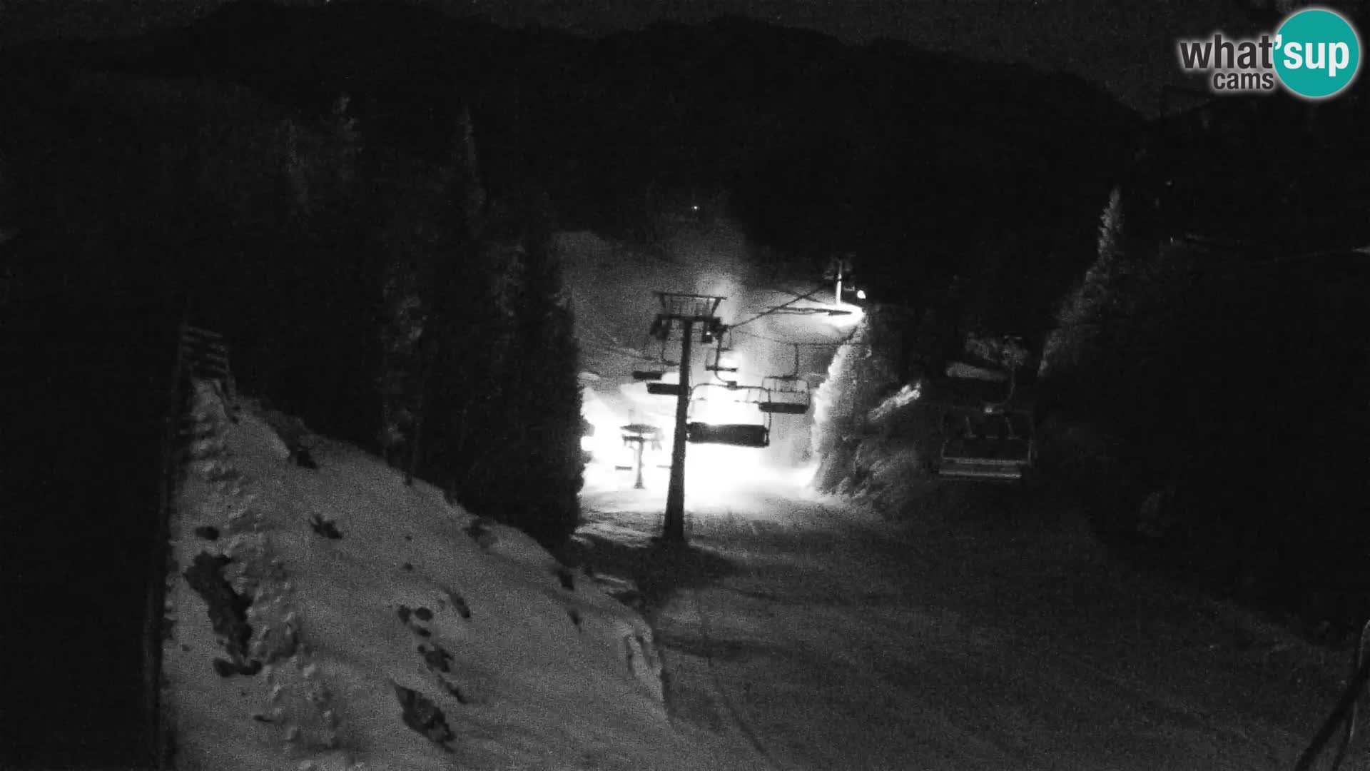 Vogel webcam kamera – Brunarica – Slowenien