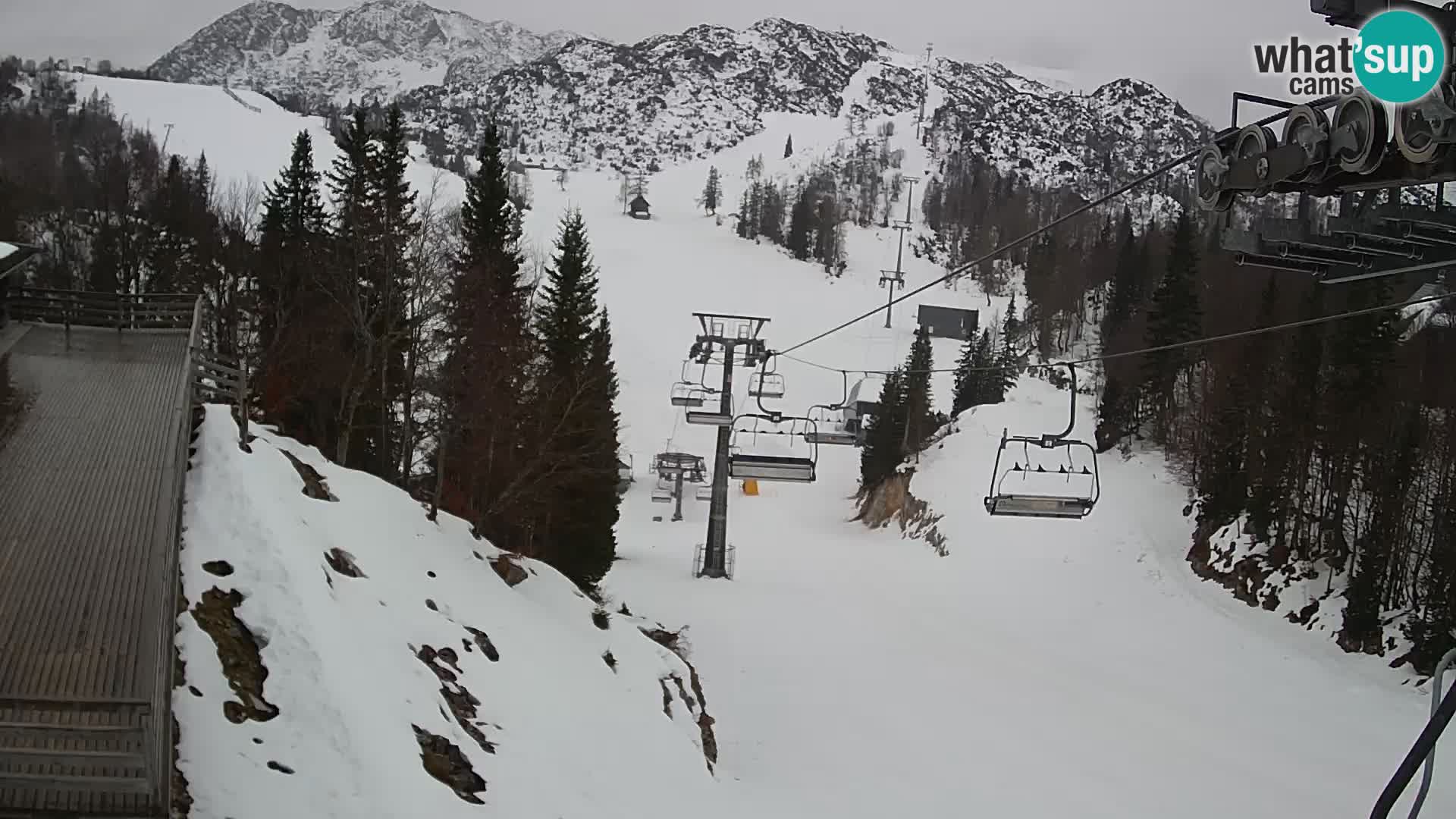 Vogel Live webcam – Brunarica – Slovenia