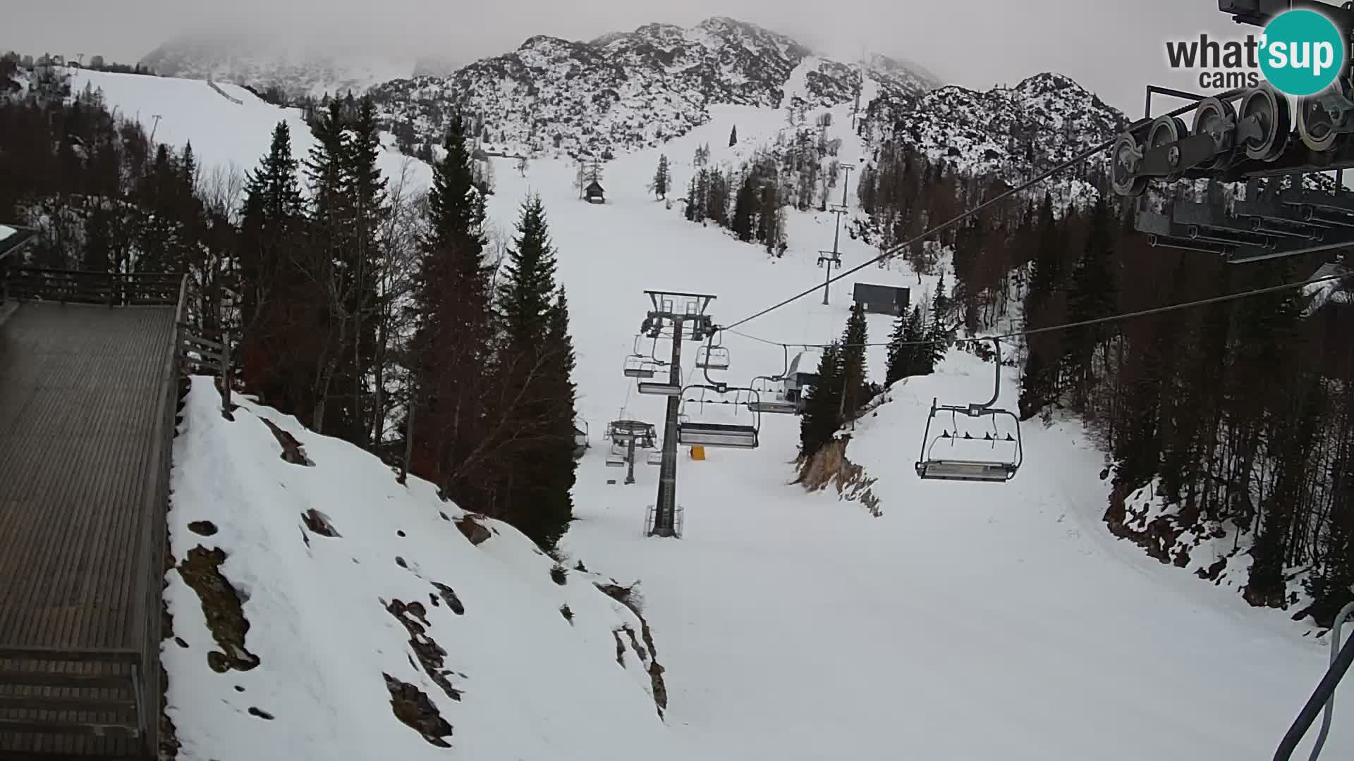 Vogel webcam en vivo – Brunarica – Eslovenia