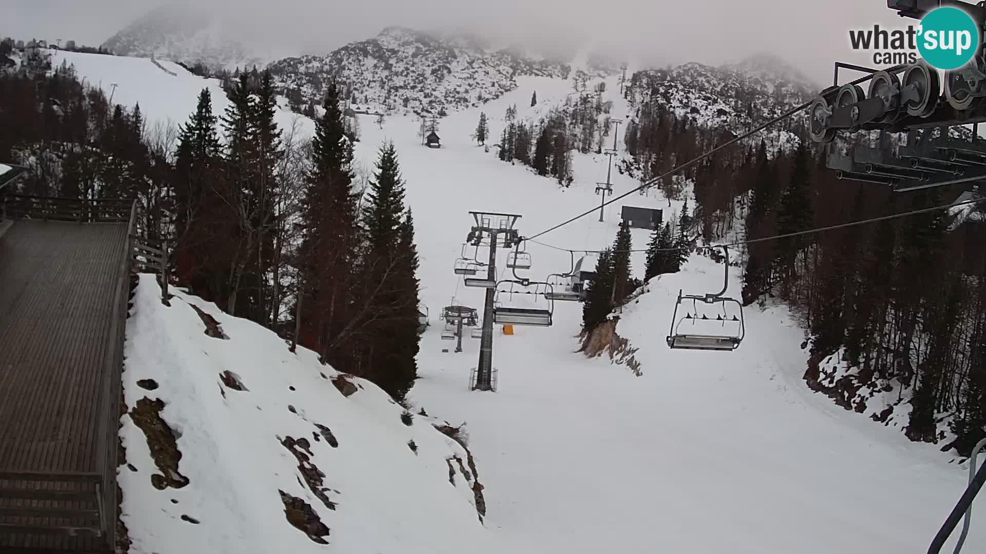 Vogel webcam en vivo – Brunarica – Eslovenia