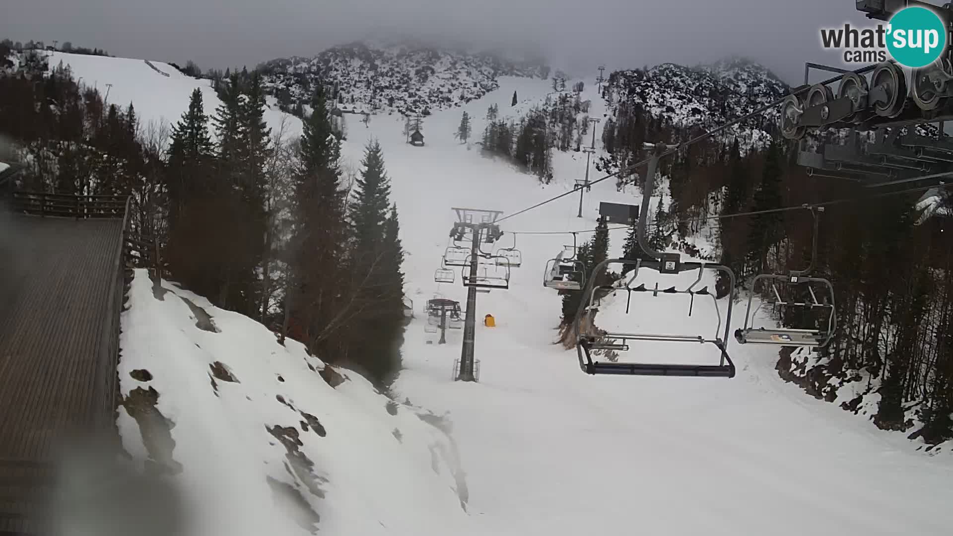 Vogel Live webcam – Brunarica – Slovénie