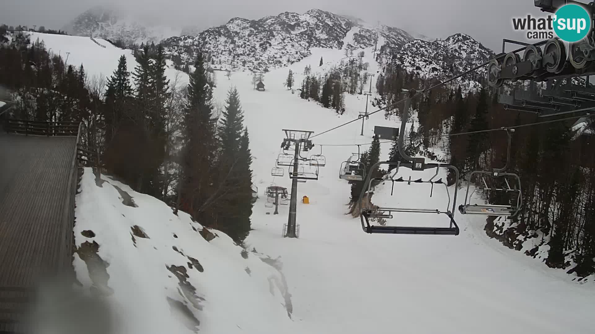 Vogel webcam kamera – Brunarica – Slowenien