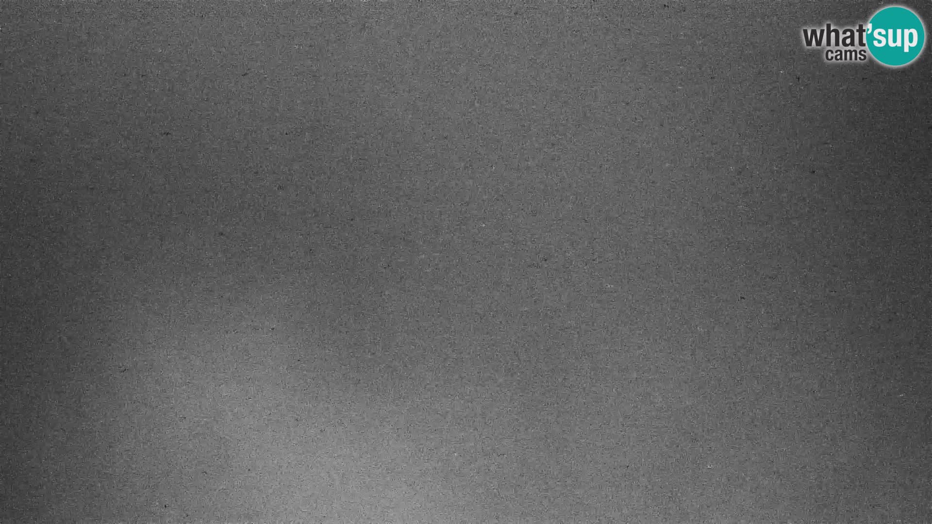 Vogel webcam en vivo – Brunarica – Eslovenia