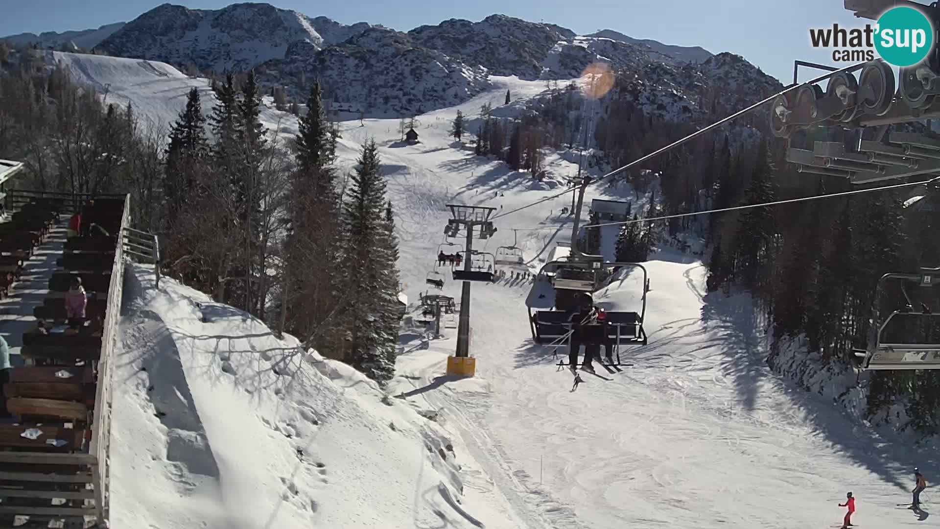 Vogel spletna kamera – Brunarica – Bohinj