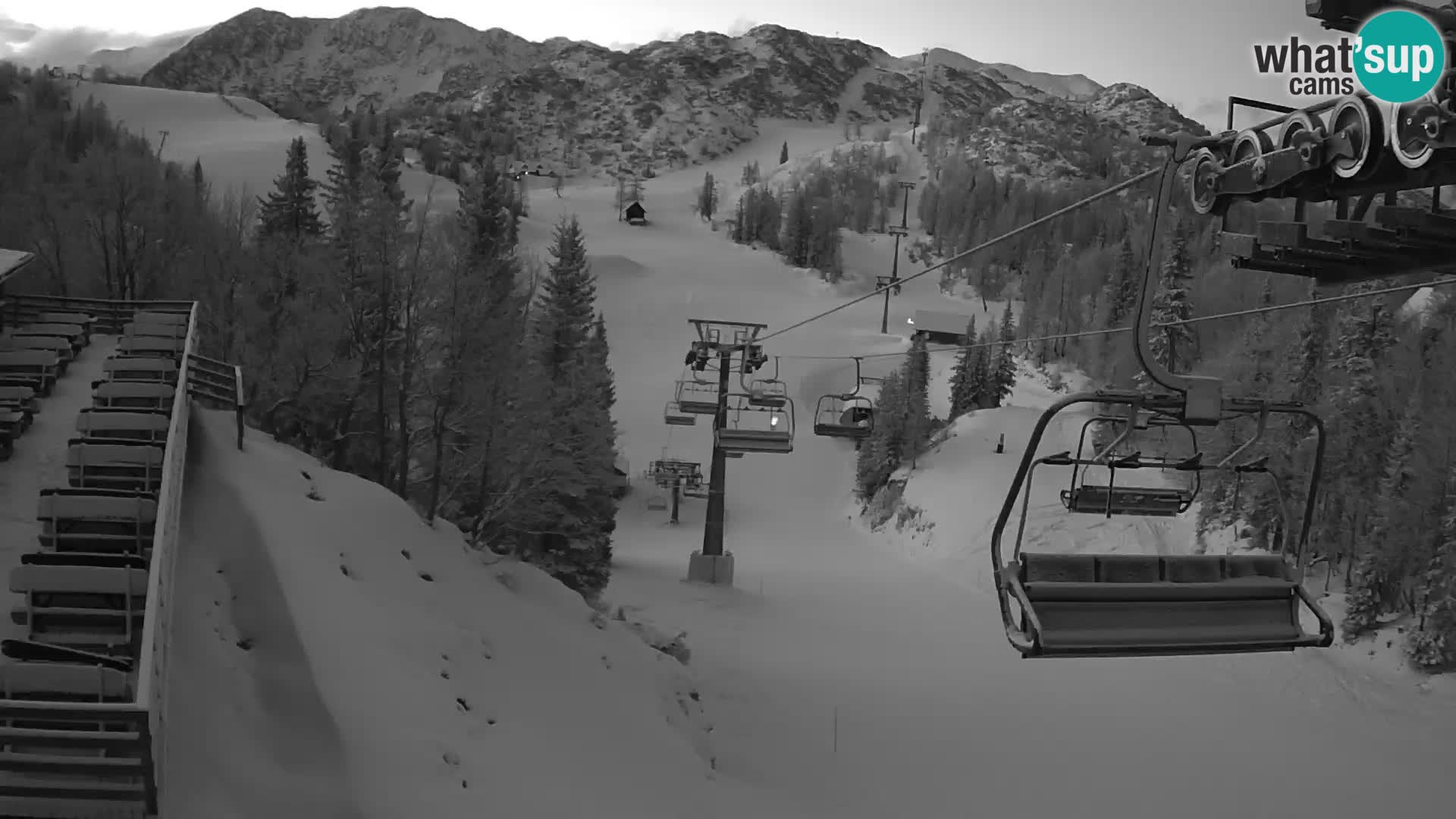 Vogel Live webcam – Brunarica – Slovénie