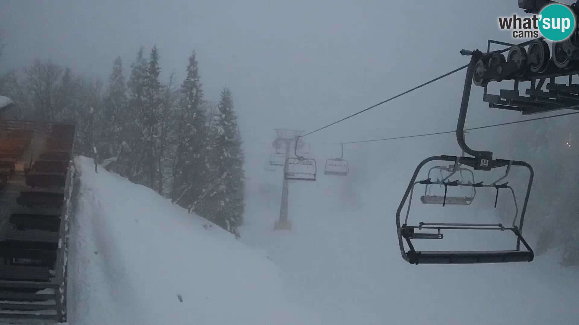 Vogel Live webcam – Brunarica – Slovénie