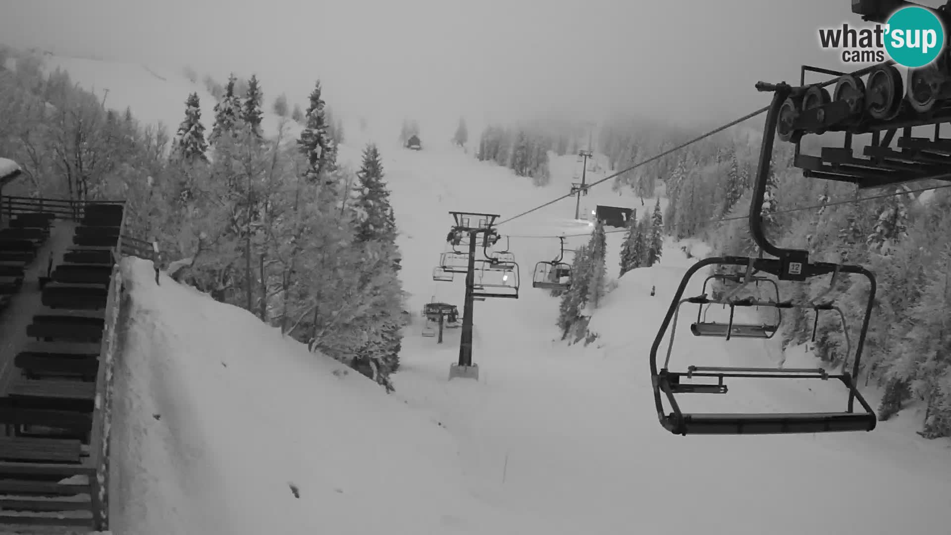 Vogel webcam kamera – Brunarica – Slowenien