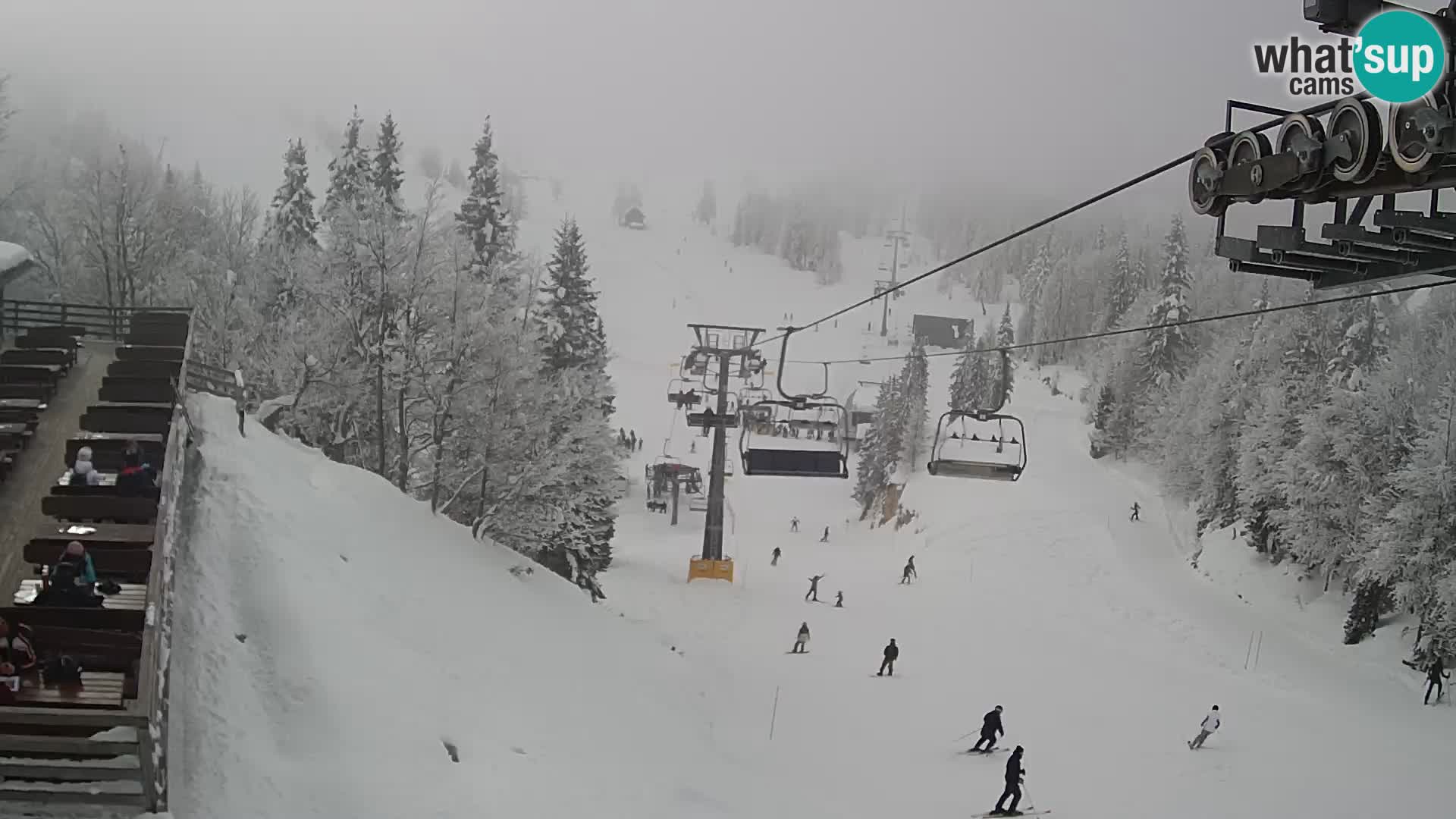 Vogel spletna kamera – Brunarica – Bohinj