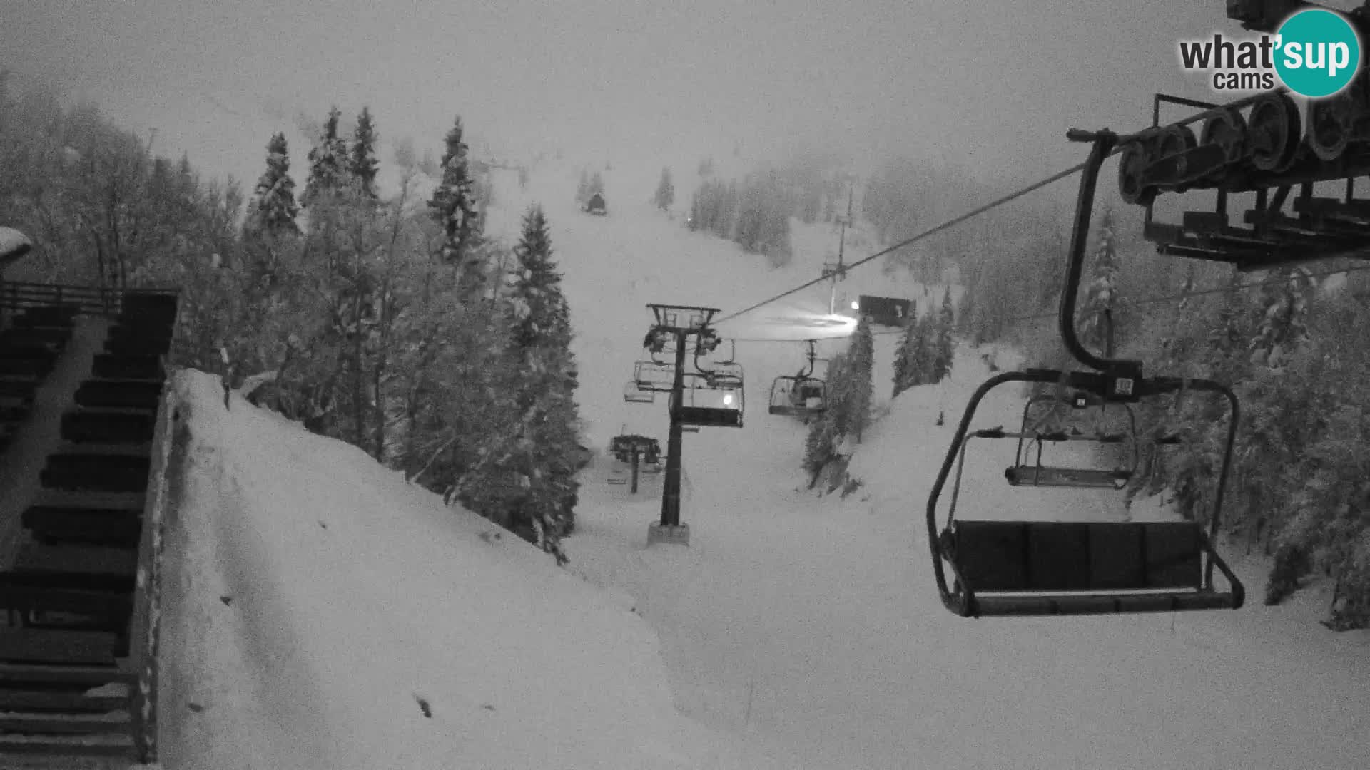 Vogel webcam kamera – Brunarica – Slowenien