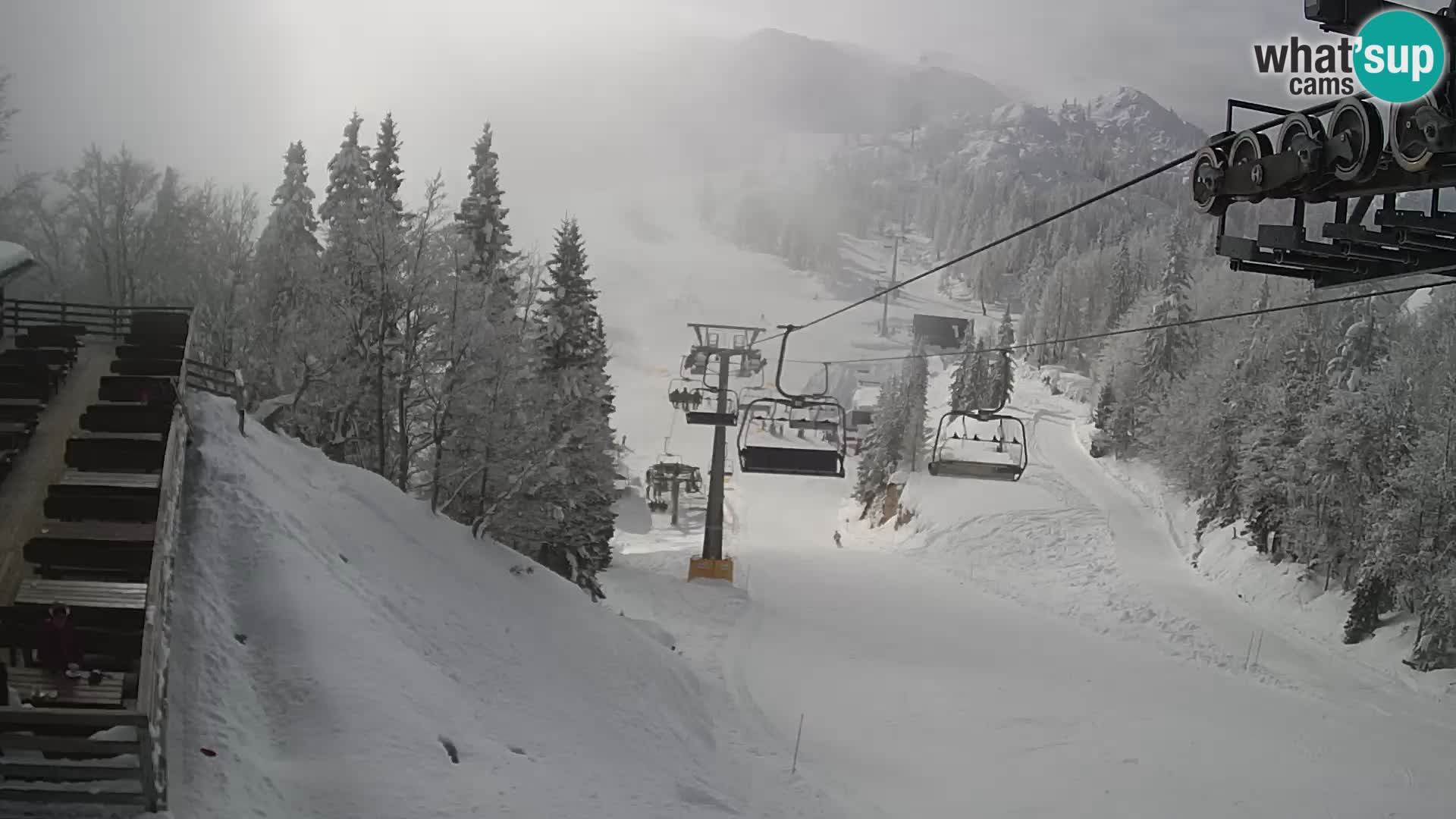 Vogel spletna kamera – Brunarica – Bohinj